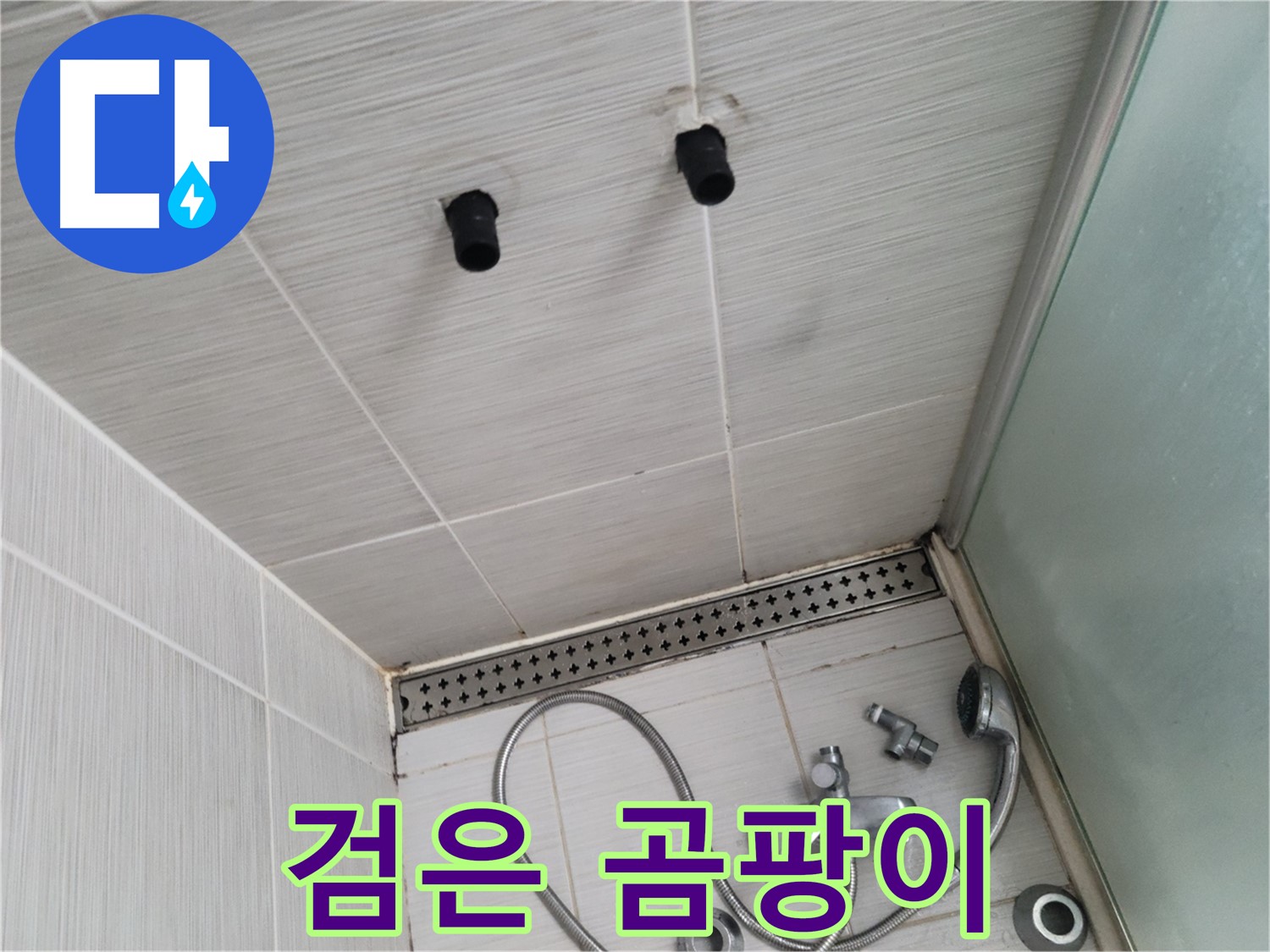 동두천 신창비바 - 샤워기 철거 후 벽면 타일 틈새의 검은 곰팡이 - 보기만 해도 찝찝한 검은 곰팡이!