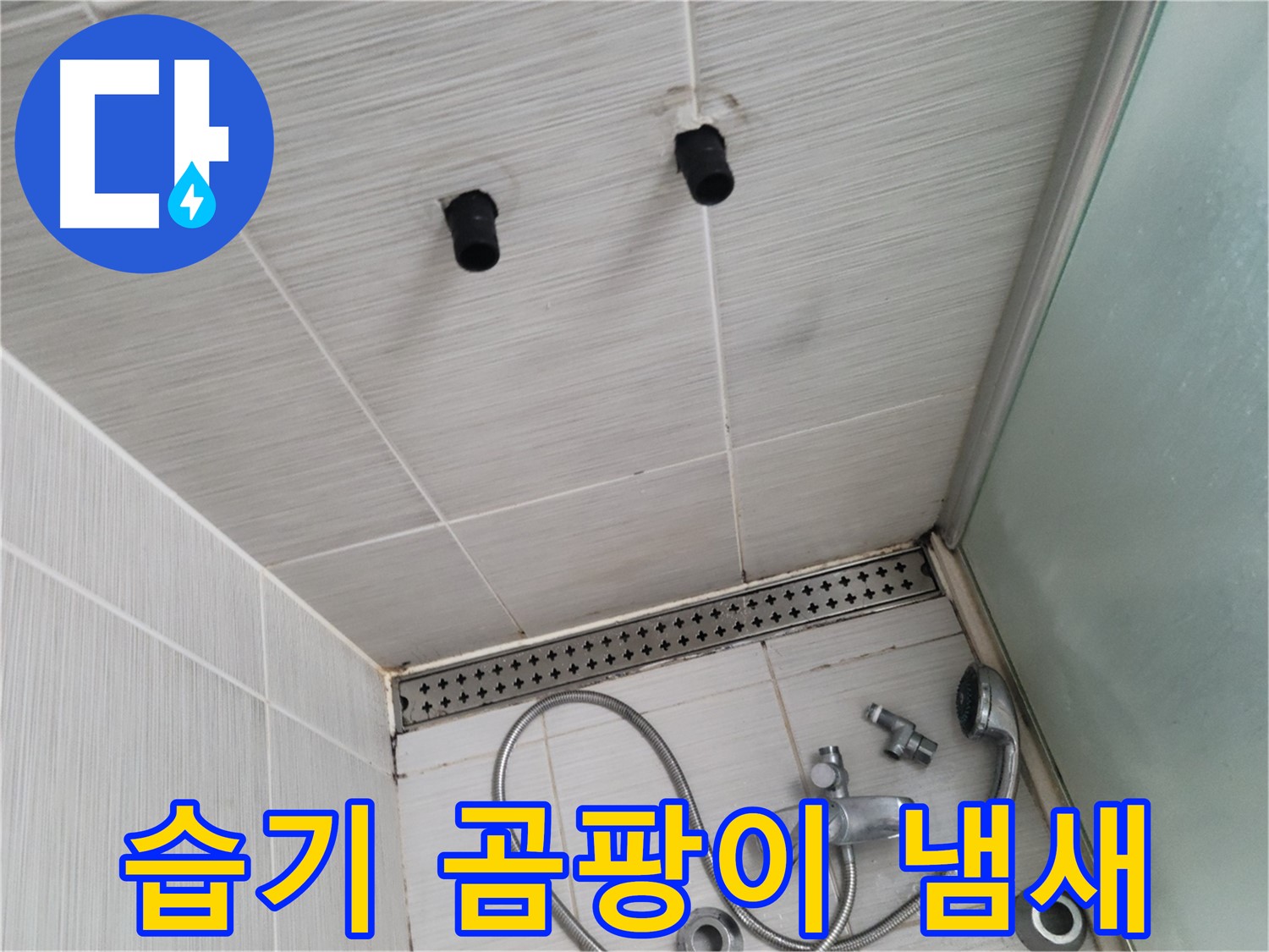 동두천 신창비바 - 샤워기 철거 후 벽면의 습기와 곰팡이 냄새 - 불쾌한 냄새의 원인은?