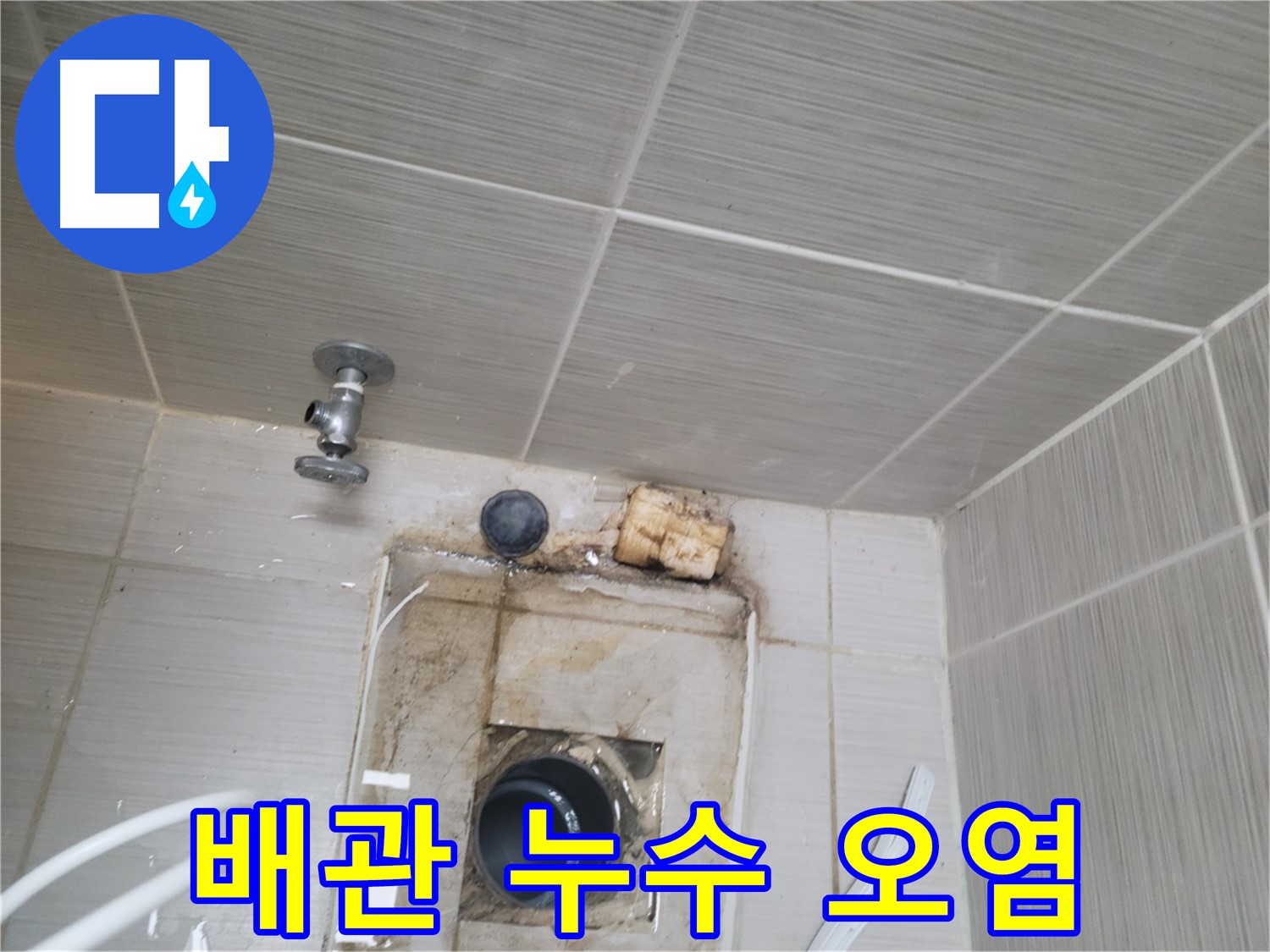 동두천 신창비바패밀리-2단지 욕실 배관 주변 누수 및 심한 오염