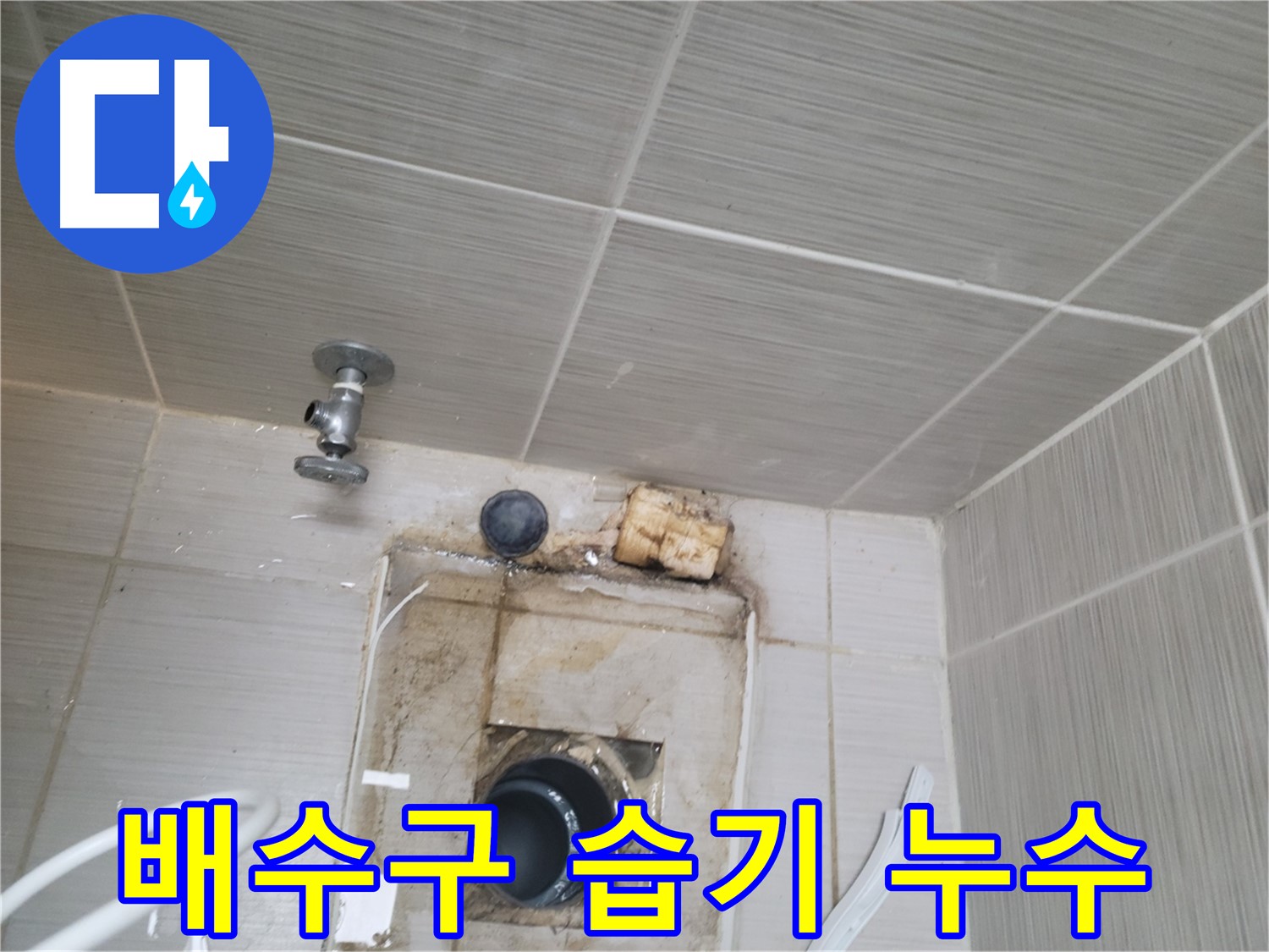 동두천 신창비바패밀리-2단지 욕실 배수구 주변 습기로 인한 누수 의심
