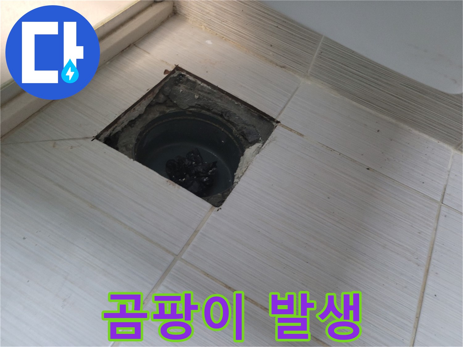 동두천 신창비바패밀리 욕실 누수 - 곰팡이 발생