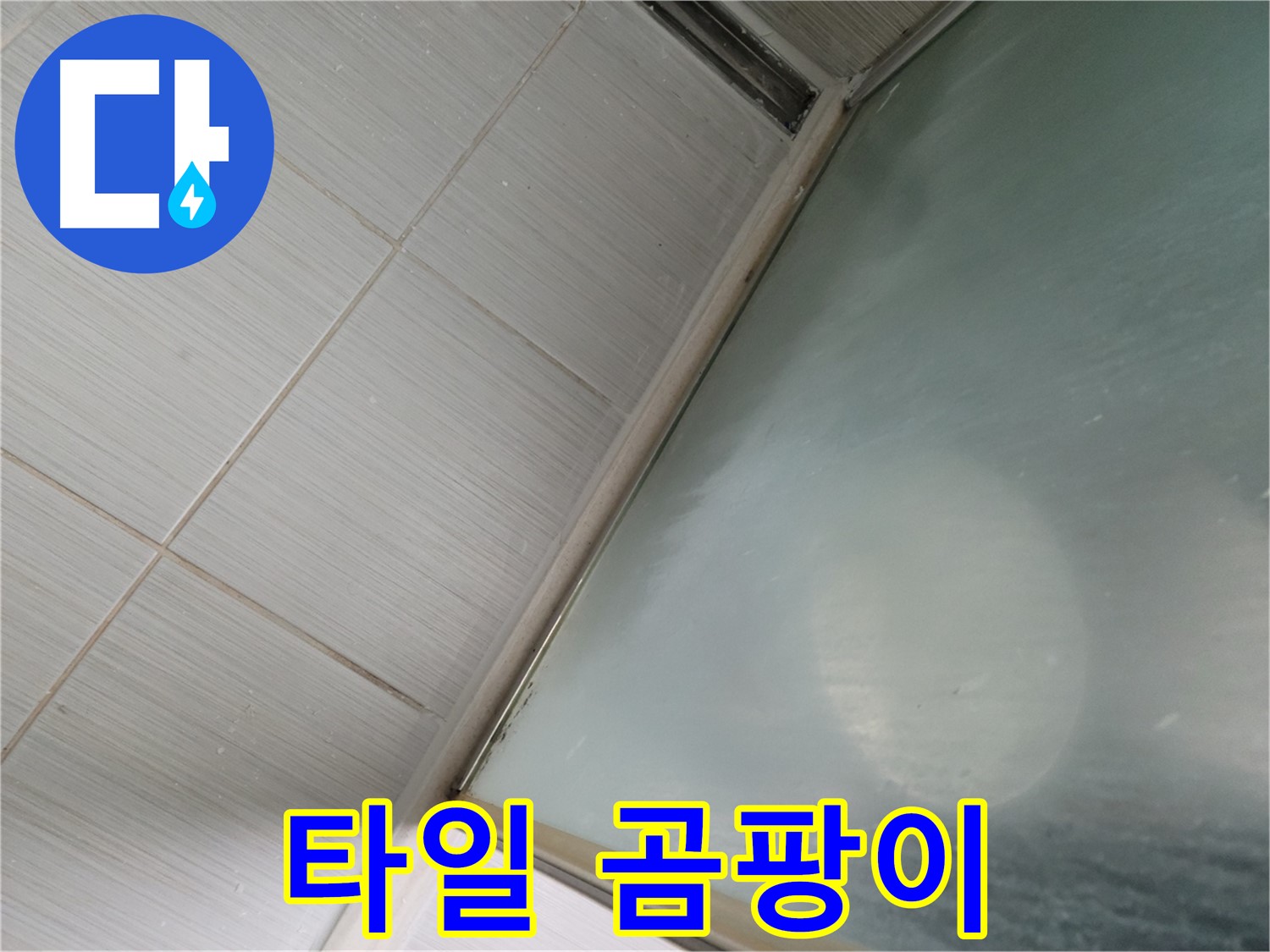 동두천시 강변로 샤워부스 하단 타일 틈새 곰팡이 - 제거 및 방지 시공 - 누수 전문가
