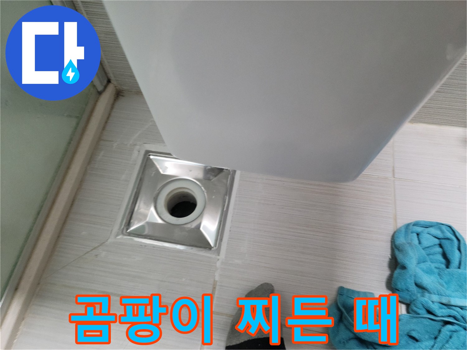 샤워기 배수구 누수 - 곰팡이