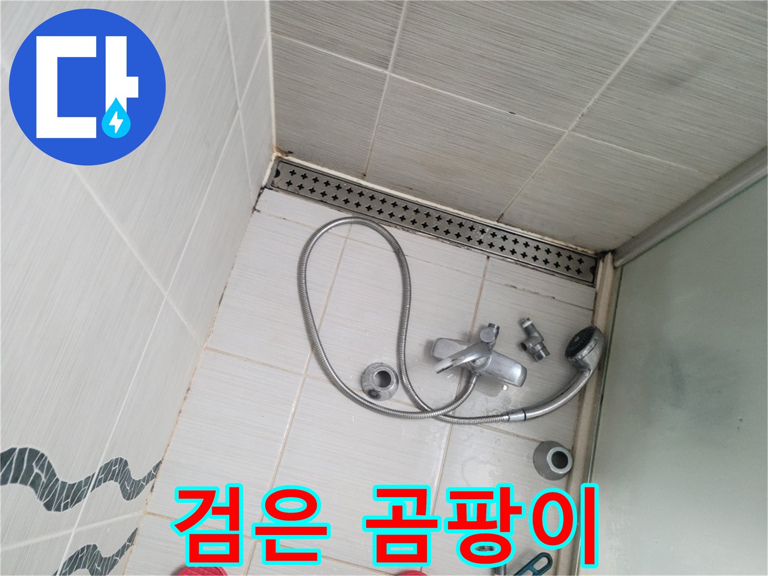 샤워기 수전 연결 부위 주변 검은 곰팡이 - 건강에 해로움