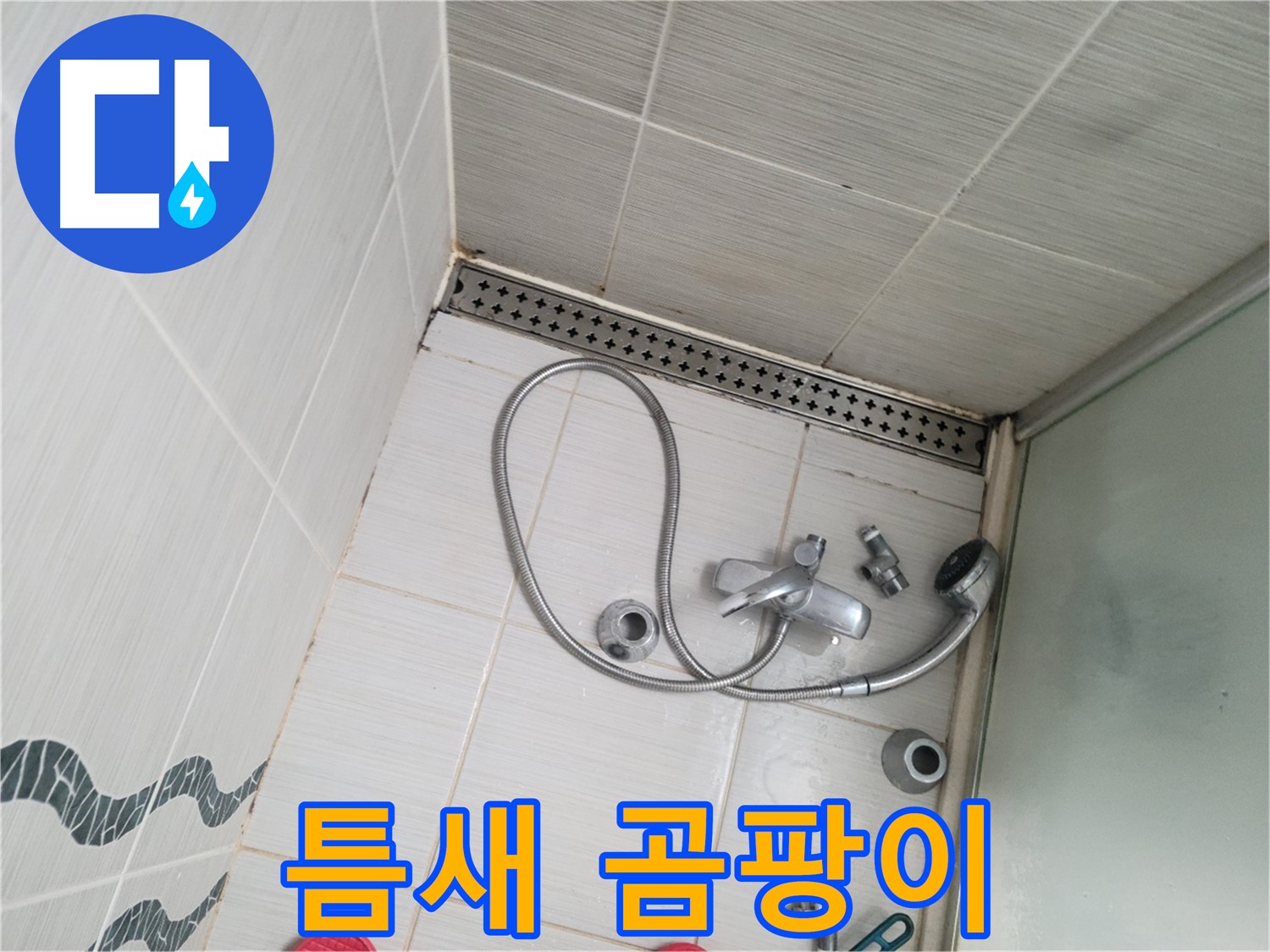 샤워기 수전 주변 타일 틈새 곰팡이 집중 확인 - 꼼꼼하게