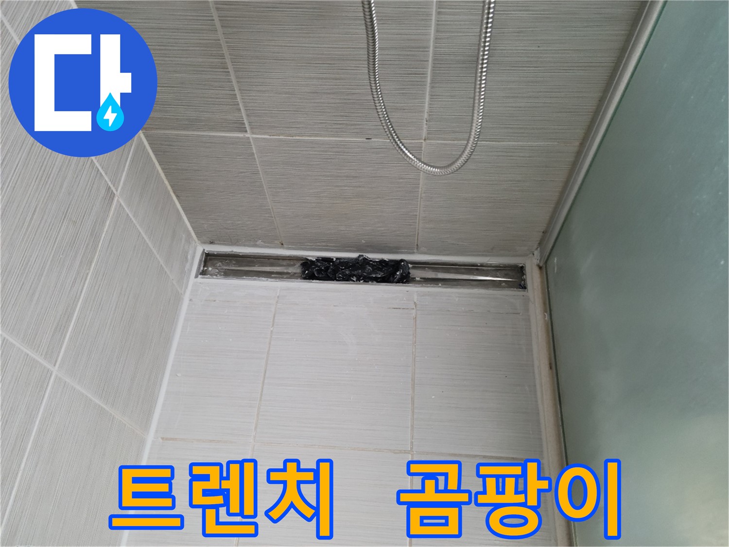 샤워부스 트렌치 - 곰팡이 세상 - 으악!
