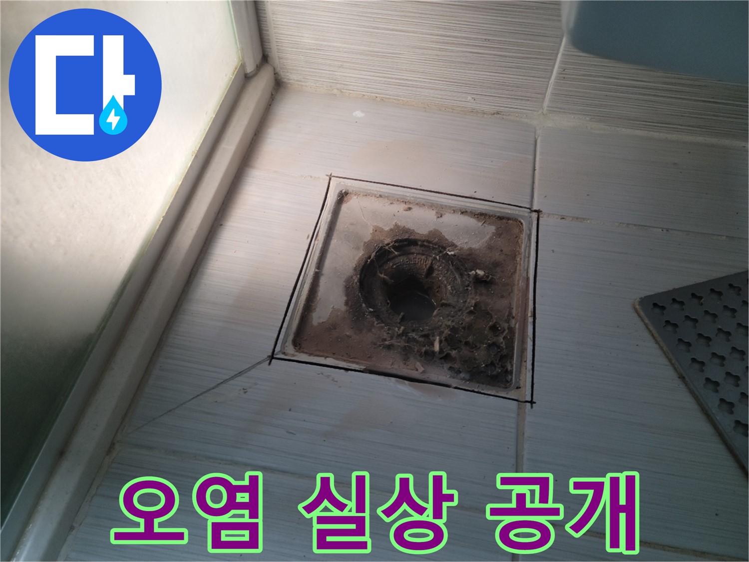 신창비바패밀리 욕실 배수구 - 오염의 실상 낱낱이 공개!