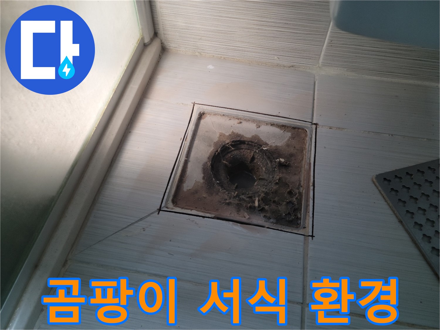 신창비바패밀리 욕실 배수구 주변 - 곰팡이 서식 환경 발견!