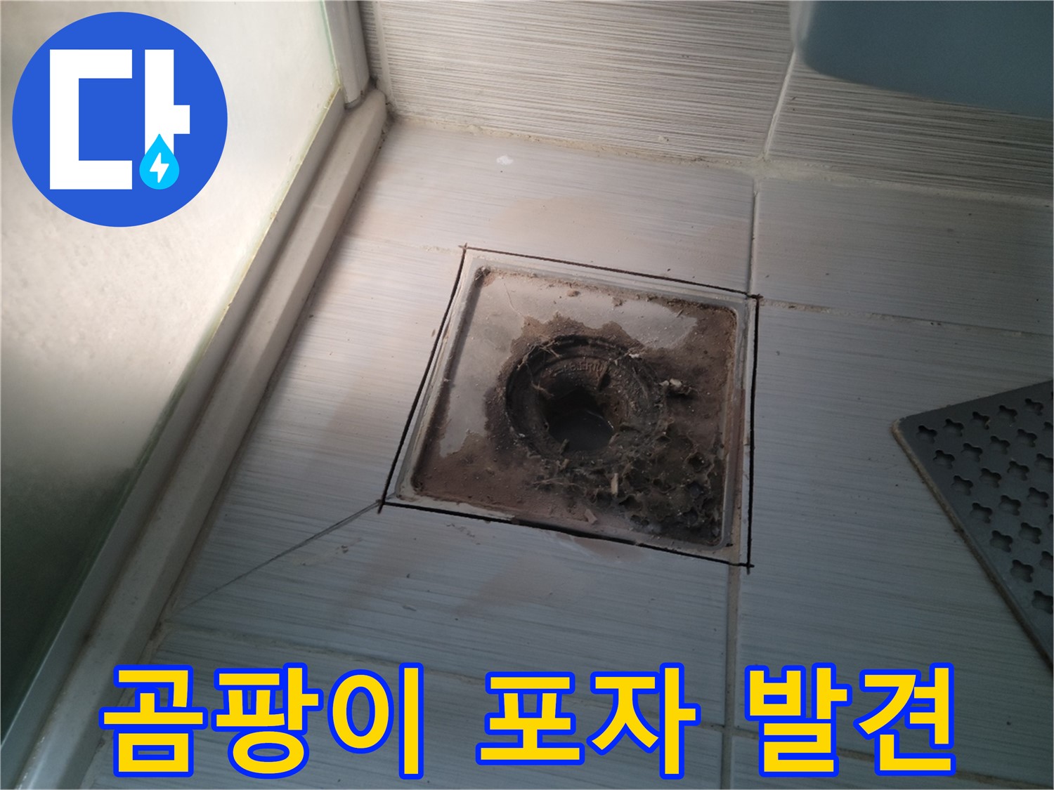 신창비바패밀리 욕실 배수구 주변 - 곰팡이 포자 발견, 누수 위험!