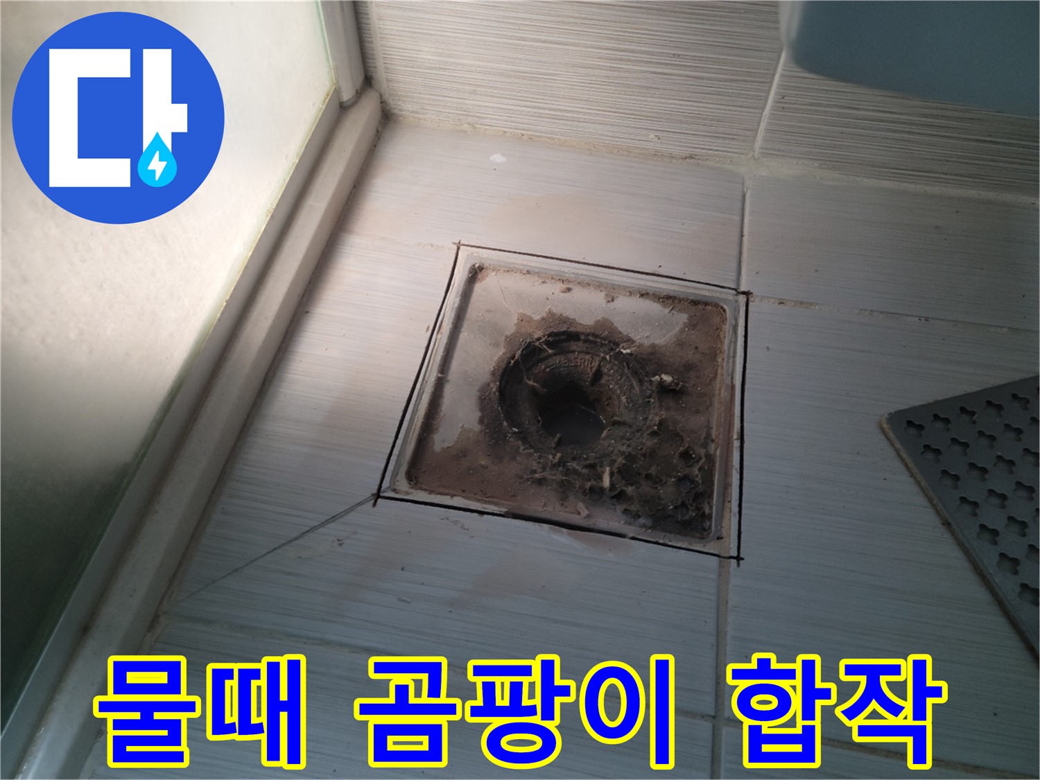 신창비바패밀리 욕실 배수구 주변 - 물때 & 곰팡이 합작품!