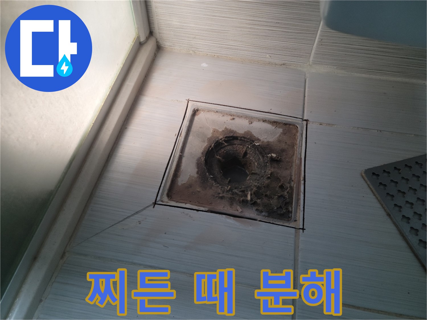 신창비바패밀리 욕실 배수구 - 찌든 때 완벽 분해 대작전!