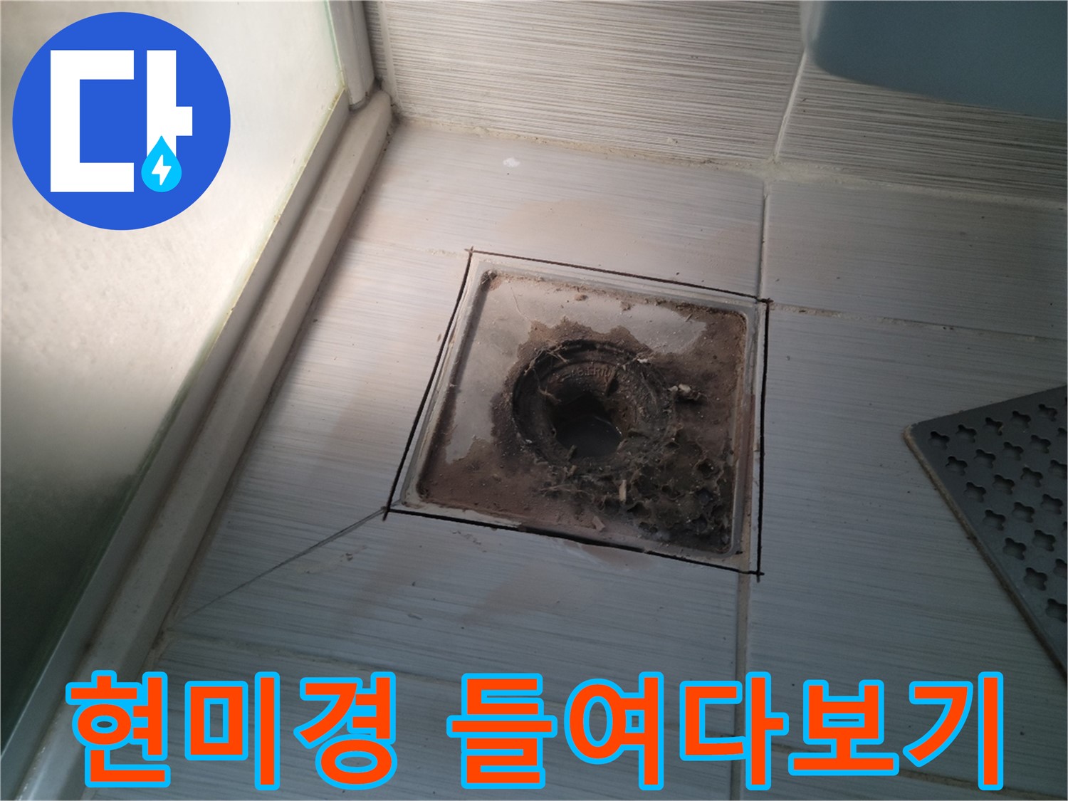 신창비바패밀리 욕실 배수구 - 현미경으로 들여다보기!