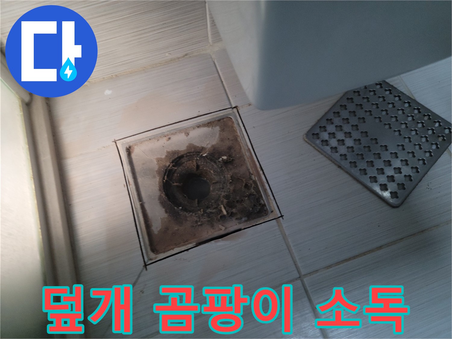 욕실 배수구 덮개 - 곰팡이 서식 - 살균 소독으로 깨끗하게 마무리