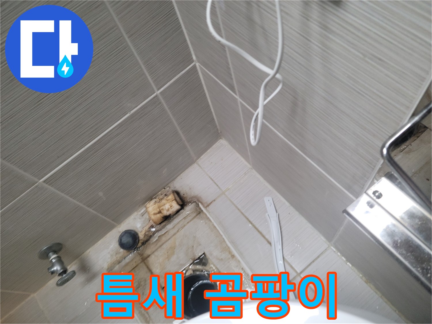 욕실 하수구 주변 - 타일 틈새 곰팡이