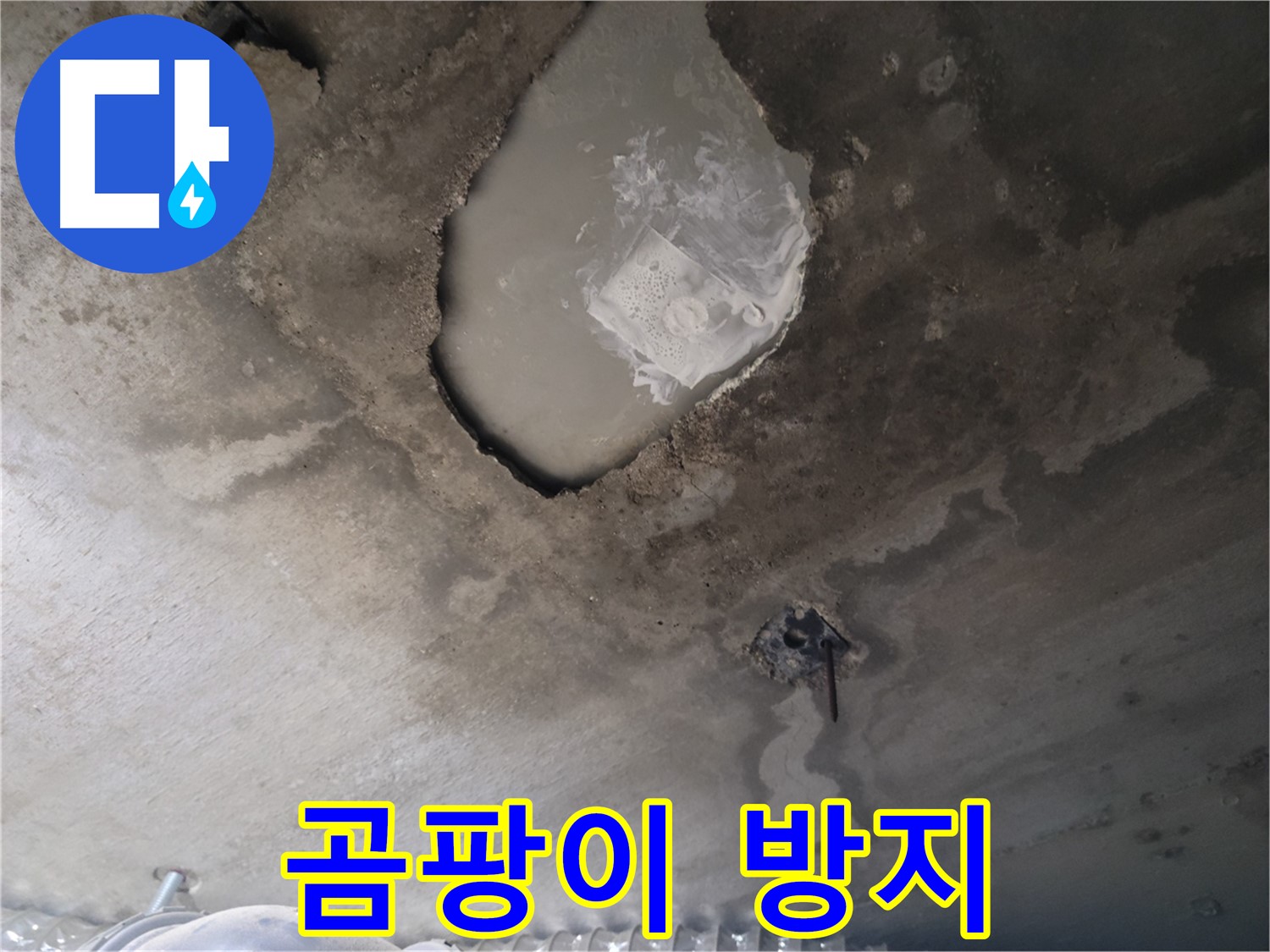 젖은 천장 - 곰팡이 방지 시공으로 쾌적하게