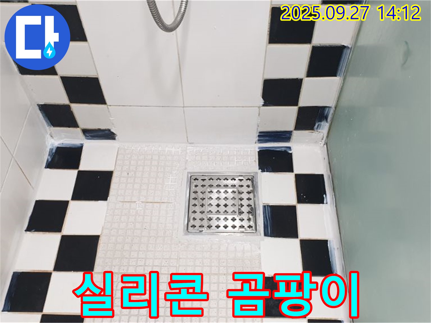 실리콘 곰팡이 - 곰팡이 제거 및 실리콘 재시공