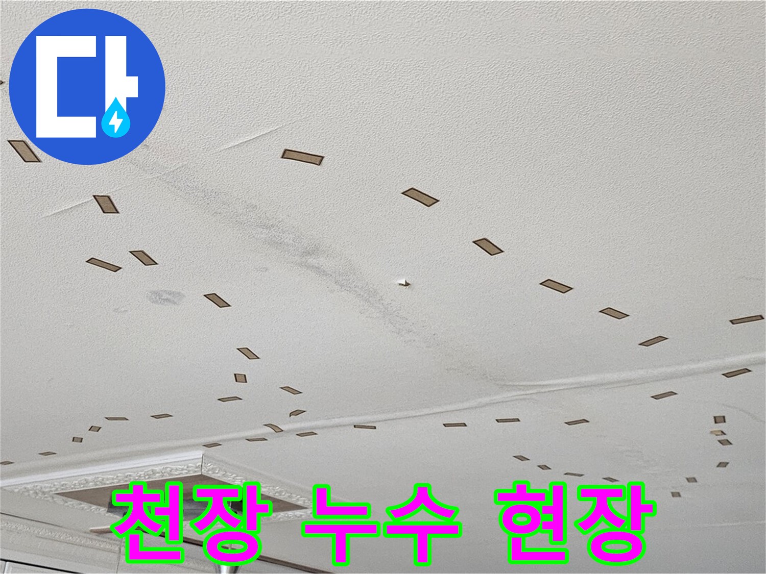 도봉동 현대시티 아파트 천장 누수 현장 - 천장에서 물이 떨어지는 누수 현장 사진입니다.