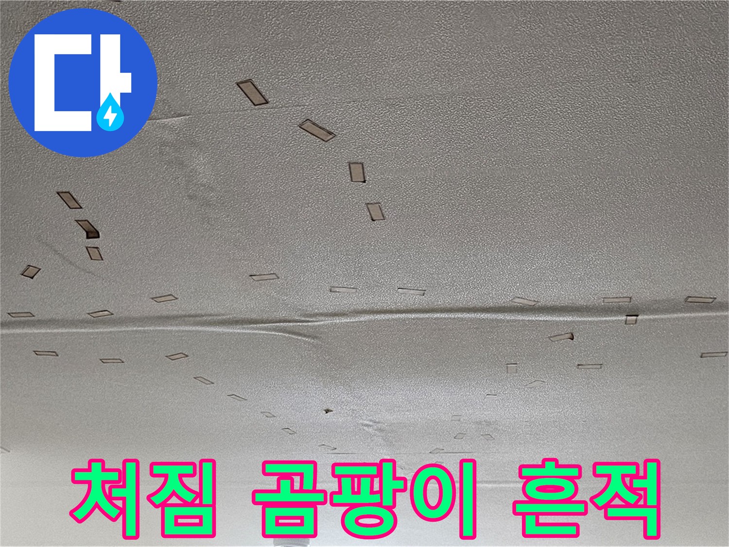 도봉동 현대시티 아파트 - 천장 처짐 - 곰팡이 - 누수 흔적 긴급 해결
