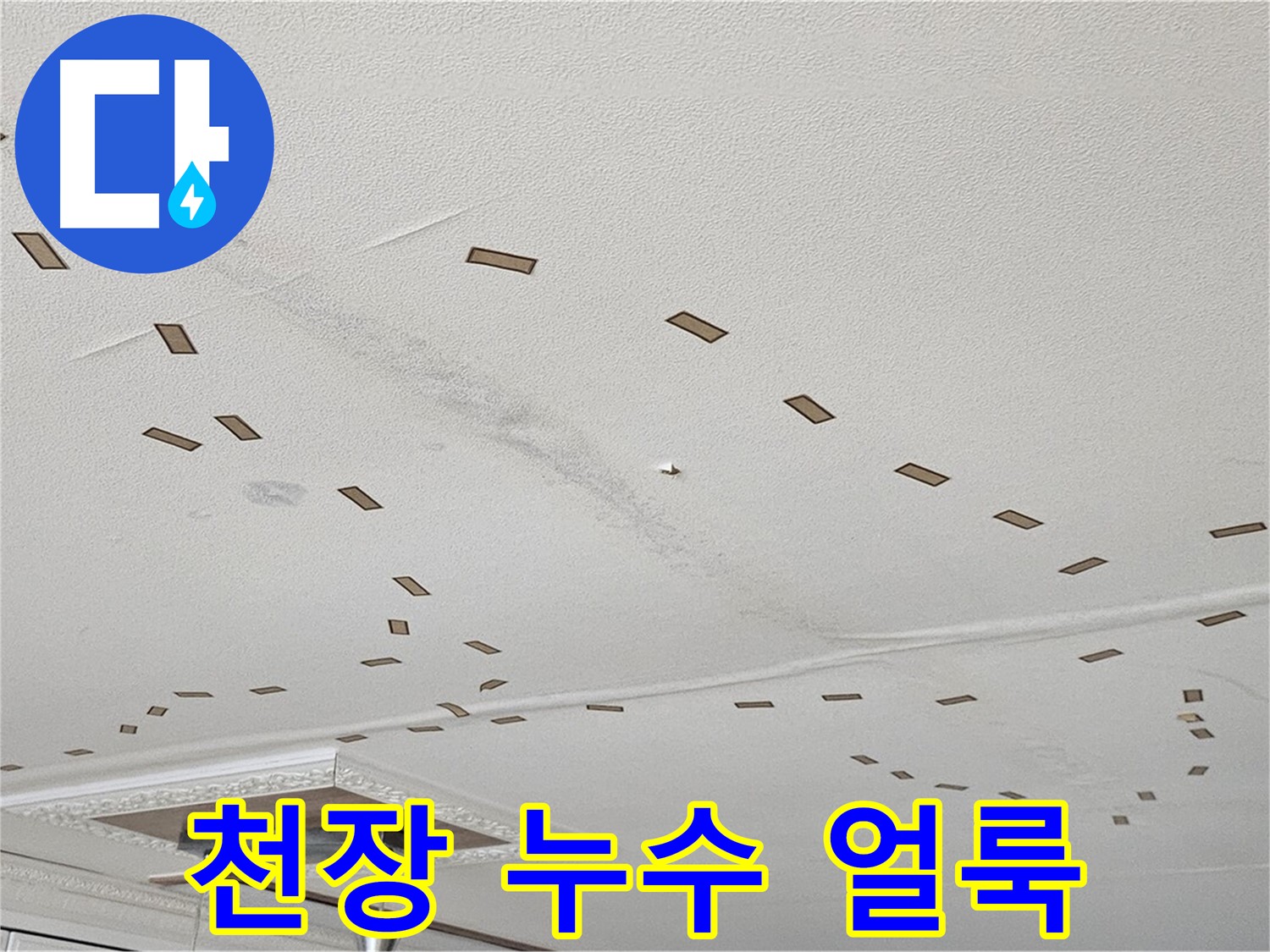 천장 누수 얼룩 - 도봉동 현대시티 아파트에서 발생한 천장 누수 얼룩 사진입니다. 누수 범위가 넓어 2차 피해가 우려되는 상황입니다.