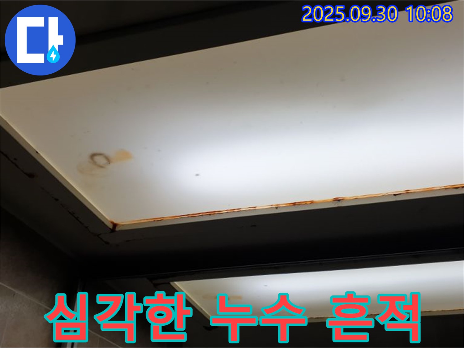 심각한 누수 흔적 - 양주시 광적면 석우리에서 누수탐지 전문가가 긴급 누수 점검을 진행하고 있습니다.