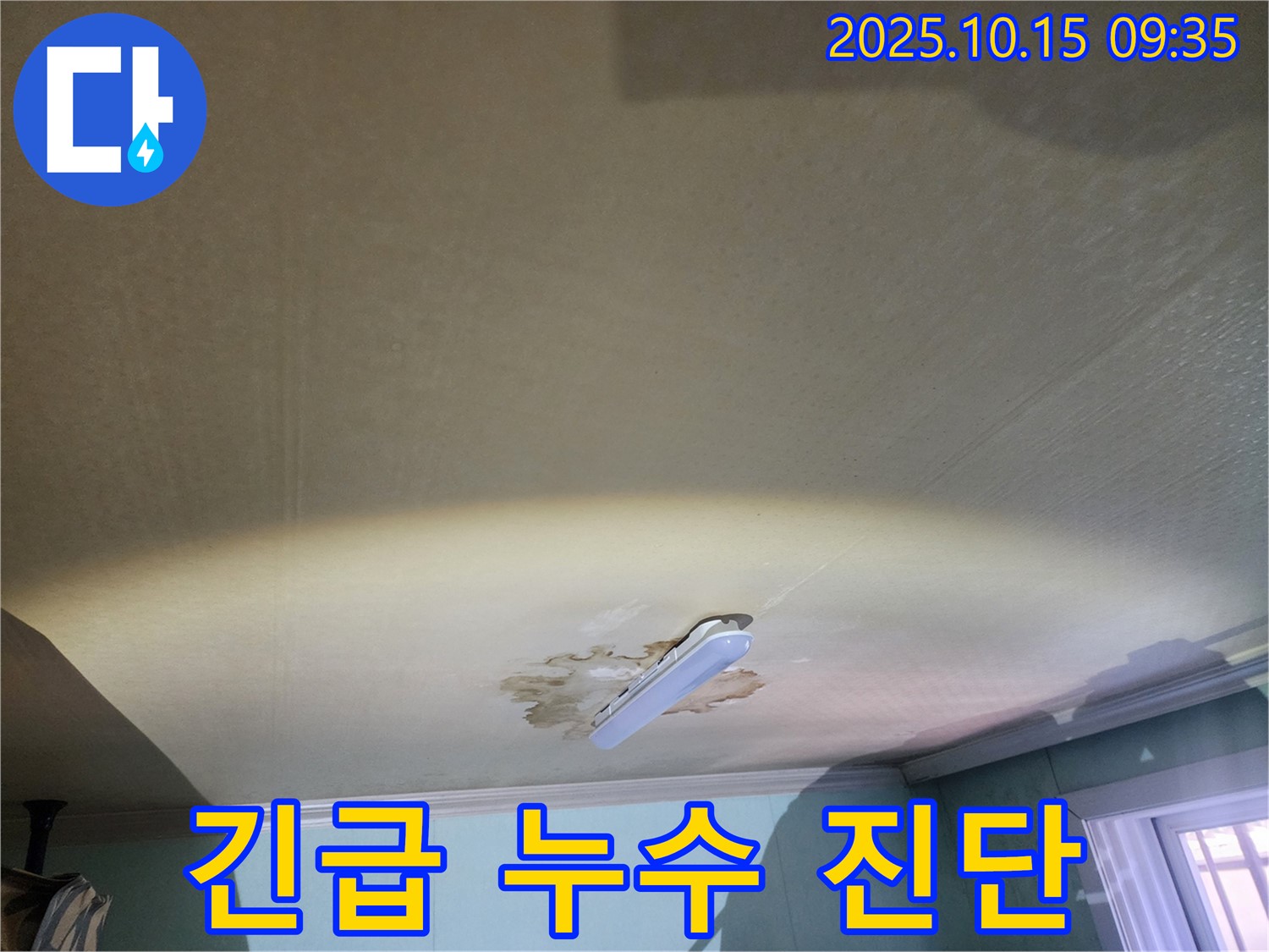 공릉동 동우빌라 아랫집 천장 누수 - 긴급 누수 진단 및 원인 파악