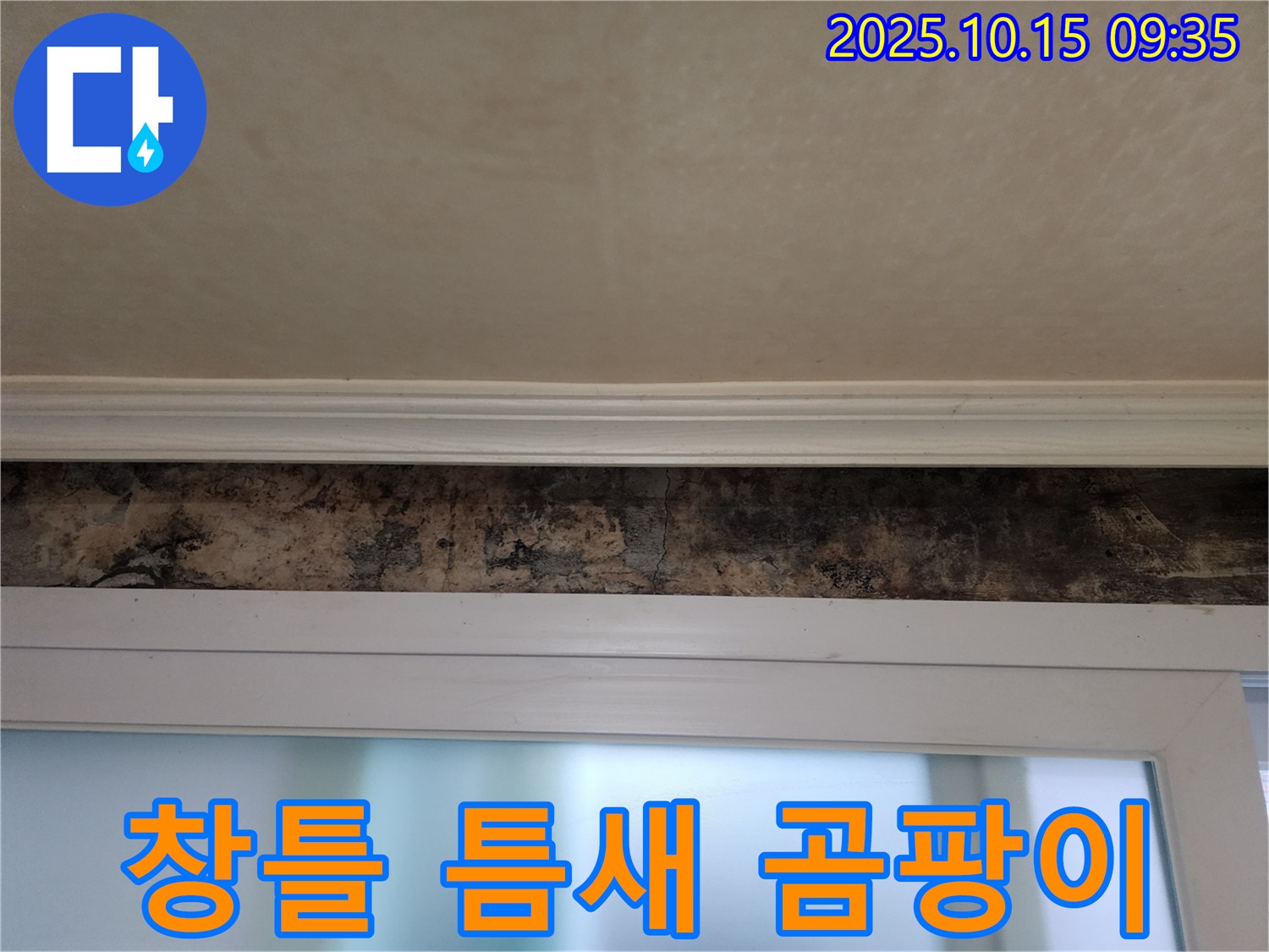 노원구 공릉동 누수 - 창틀 틈새 곰팡이 문제, 완벽하게 해결!