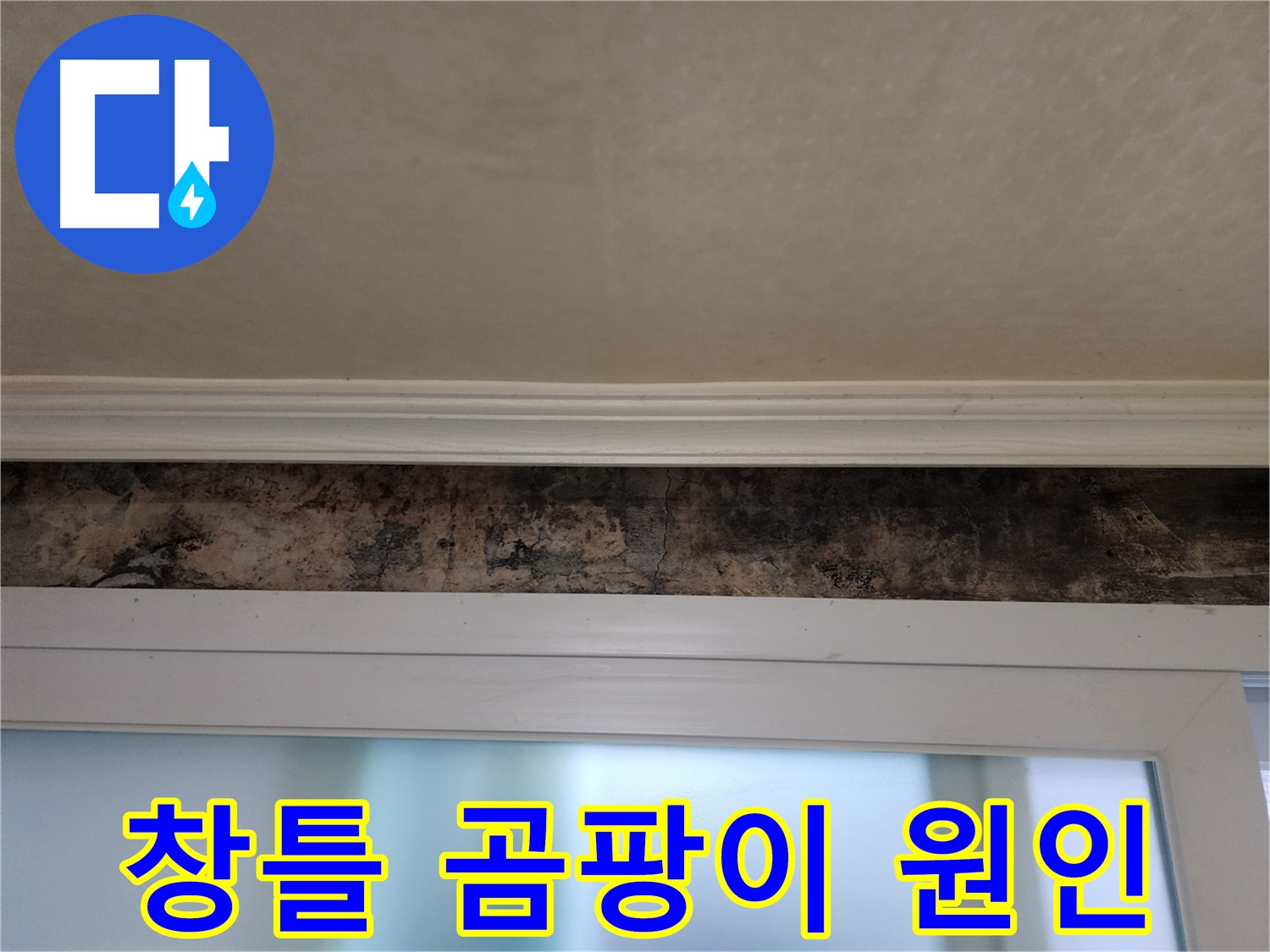 노원구 공릉동 누수 현장 - 창틀 곰팡이 발생 원인 꼼꼼 분석
