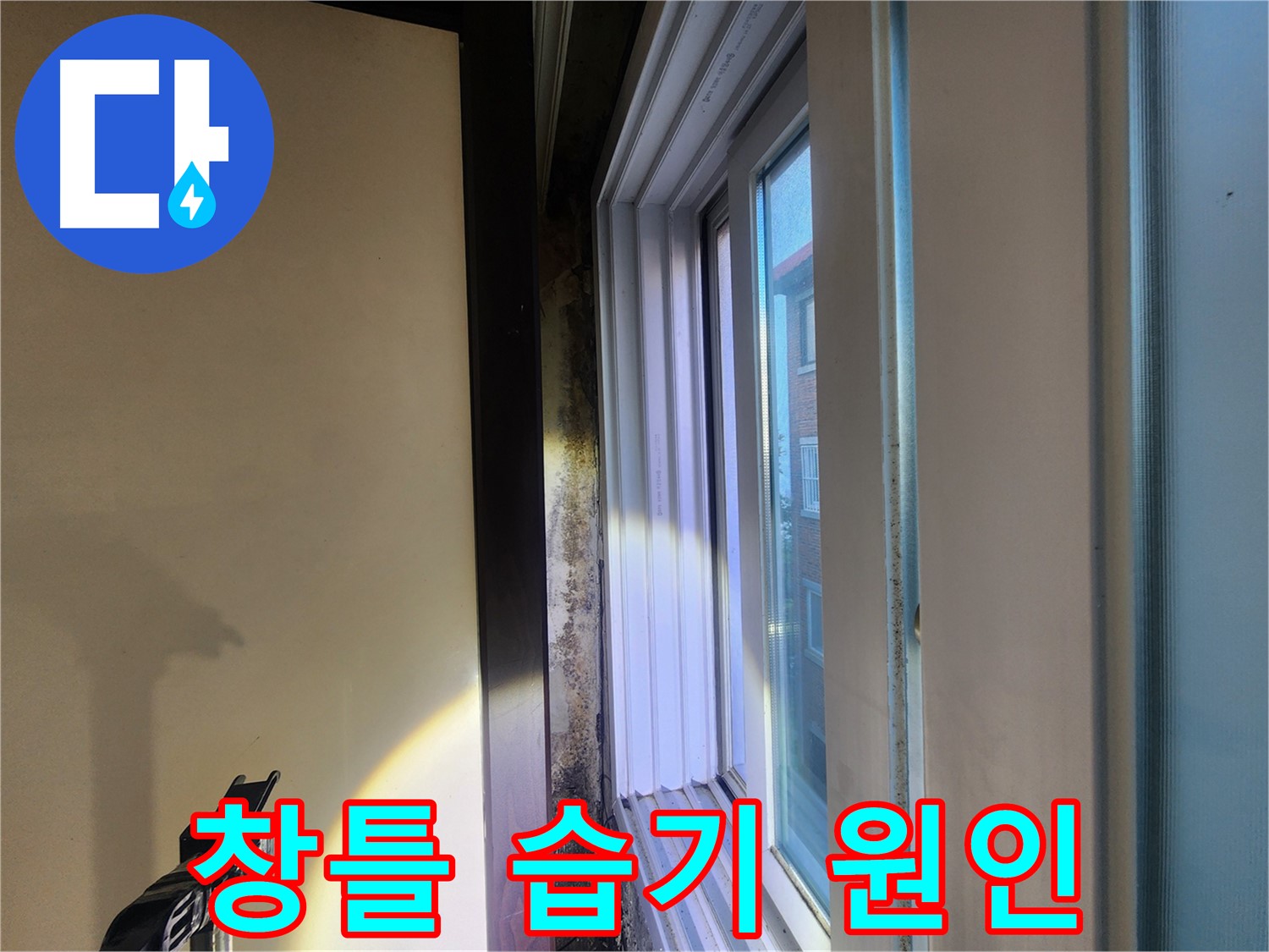 노원구 창틀 주변 습기 및 곰팡이 - 누수탐지 및 원인 진단 필요