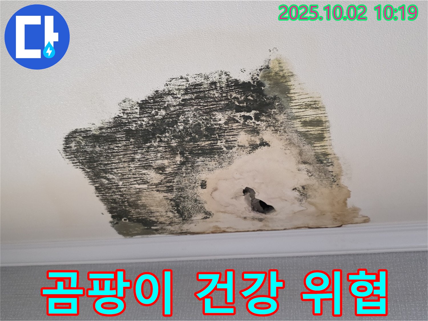 양주시 남면 신산리 주택 천장에 곰팡이가 심하게 발생한 모습 - 누수와 곰팡이는 건강을 위협하는 주범입니다.