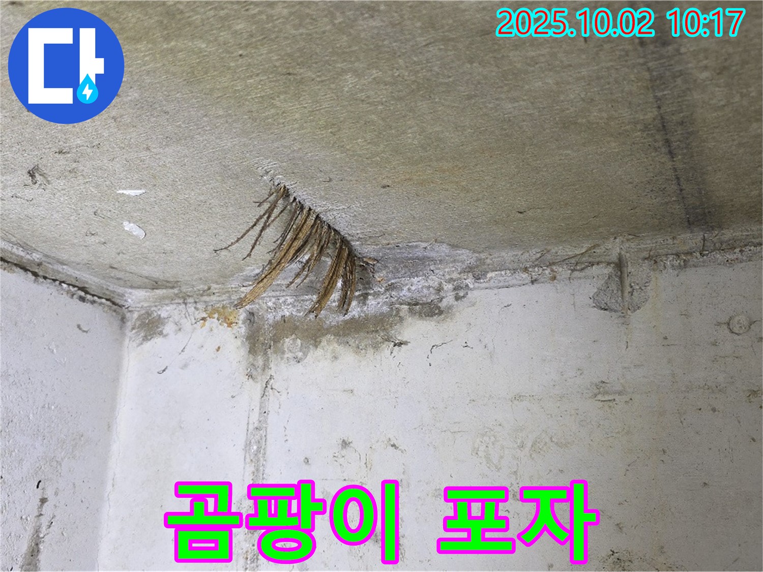 양주시 신산리 누수 - 천장 누수로 인한 곰팡이 포자 확산 우려