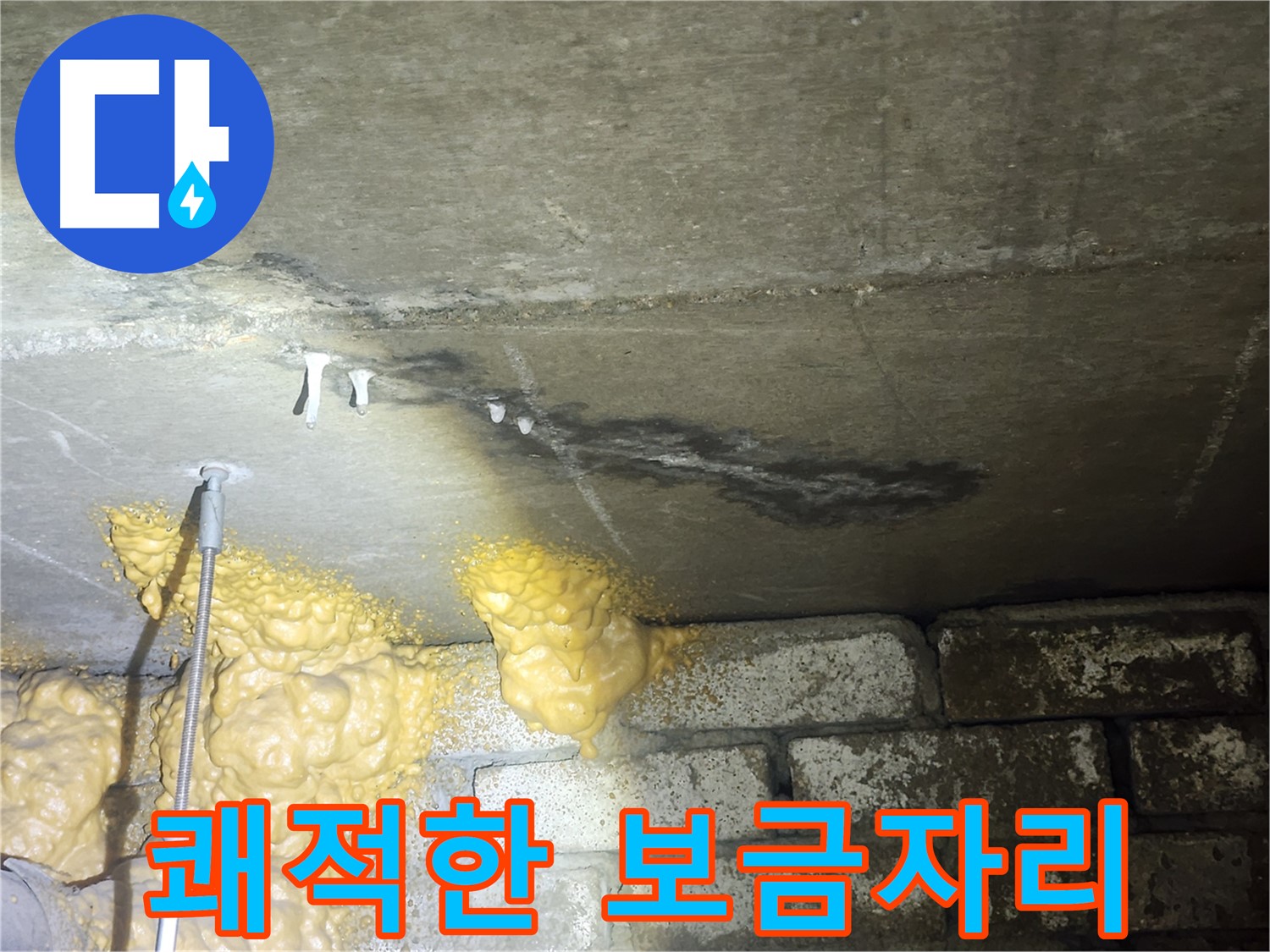 당산동 래미안 아파트 누수 - 쾌적하고 건강한 보금자리 되찾기 프로젝트