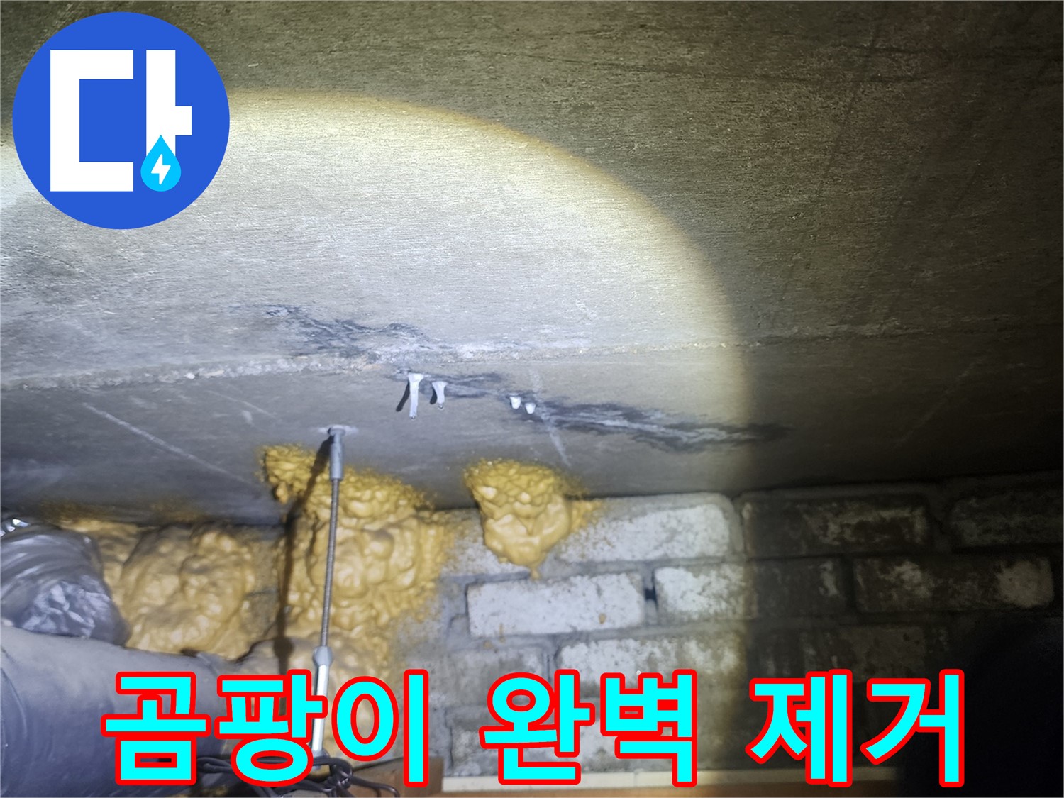 벽 곰팡이 완벽 제거 및 재발 방지 성공