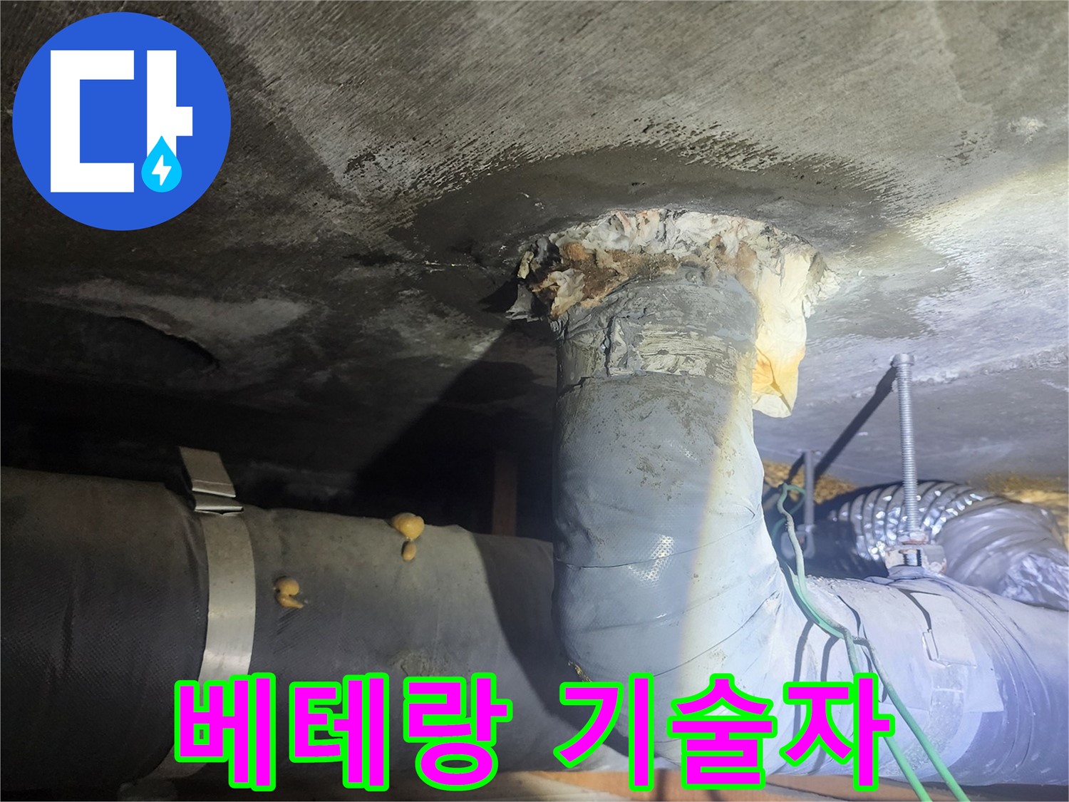 영등포구 당산동 누수 - 베테랑 기술자의 꼼꼼한 작업