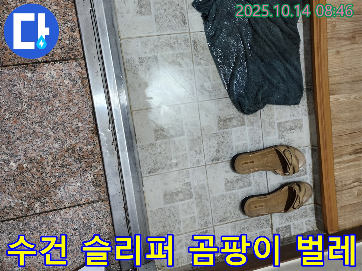 양주시 남면 두곡리 누수 - 젖은 수건, 슬리퍼, 곰팡이, 벌레 알은 최악의 누수 상황을 나타냅니다.