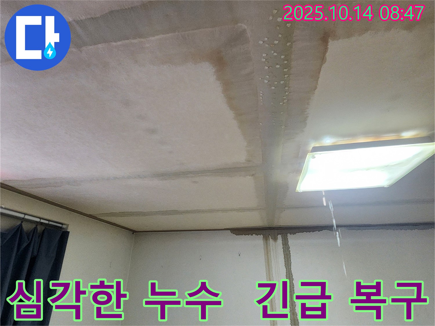 양주시 남면 두곡리 천장 누수 - 심각한 누수 상황, 긴급 복구 작업
