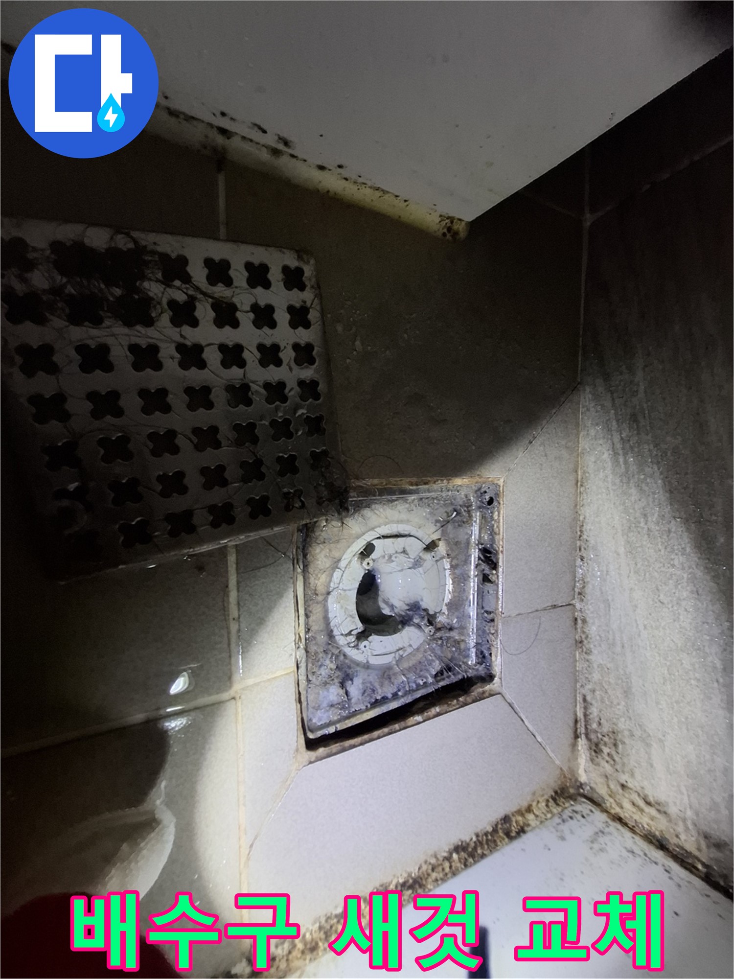 낡은 욕실 배수구 새것처럼 교체 - 쾌적
