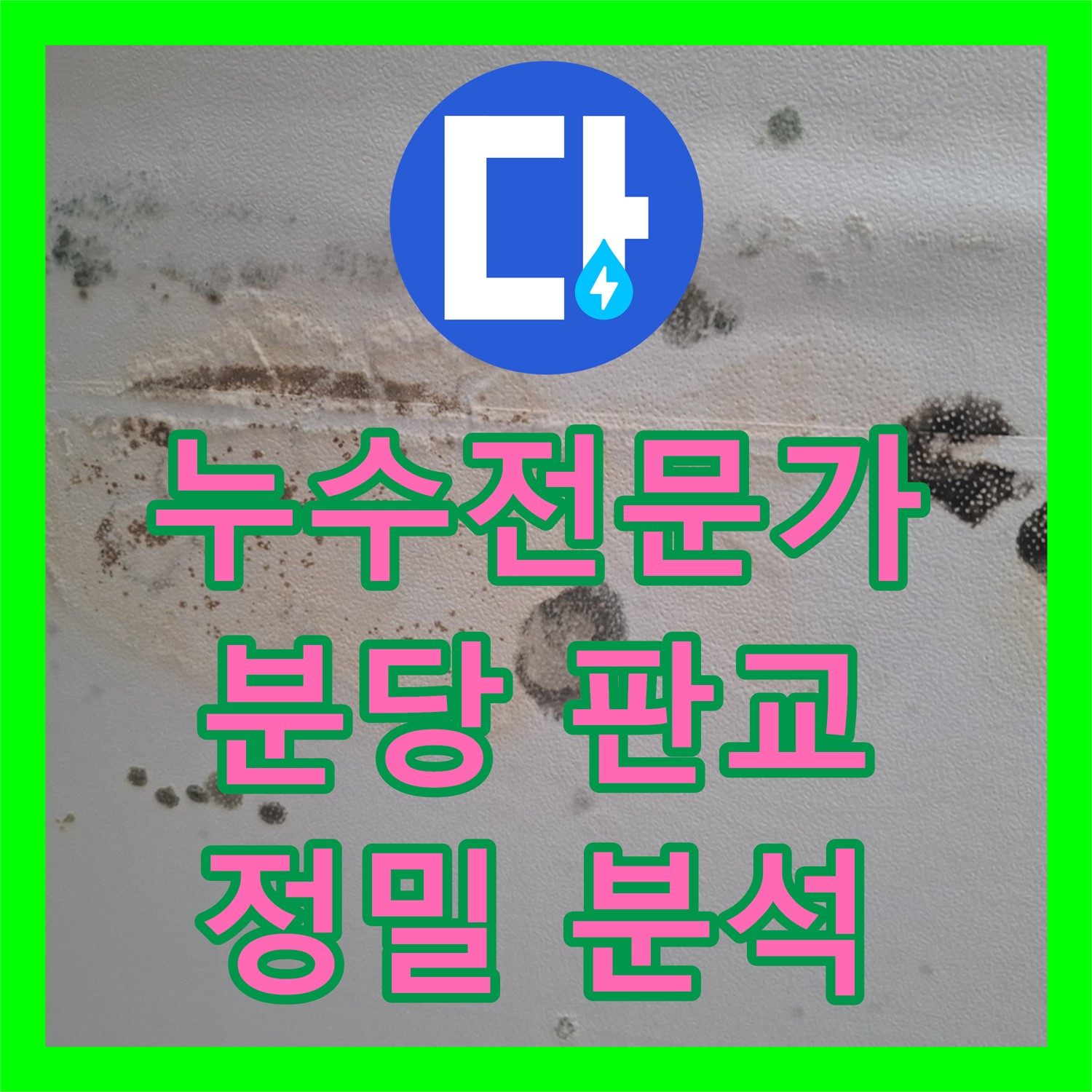  화장실 천장 누수 문제를 정밀하게 분석하고 해결하는 과정 경기 성남시 분당구 판교