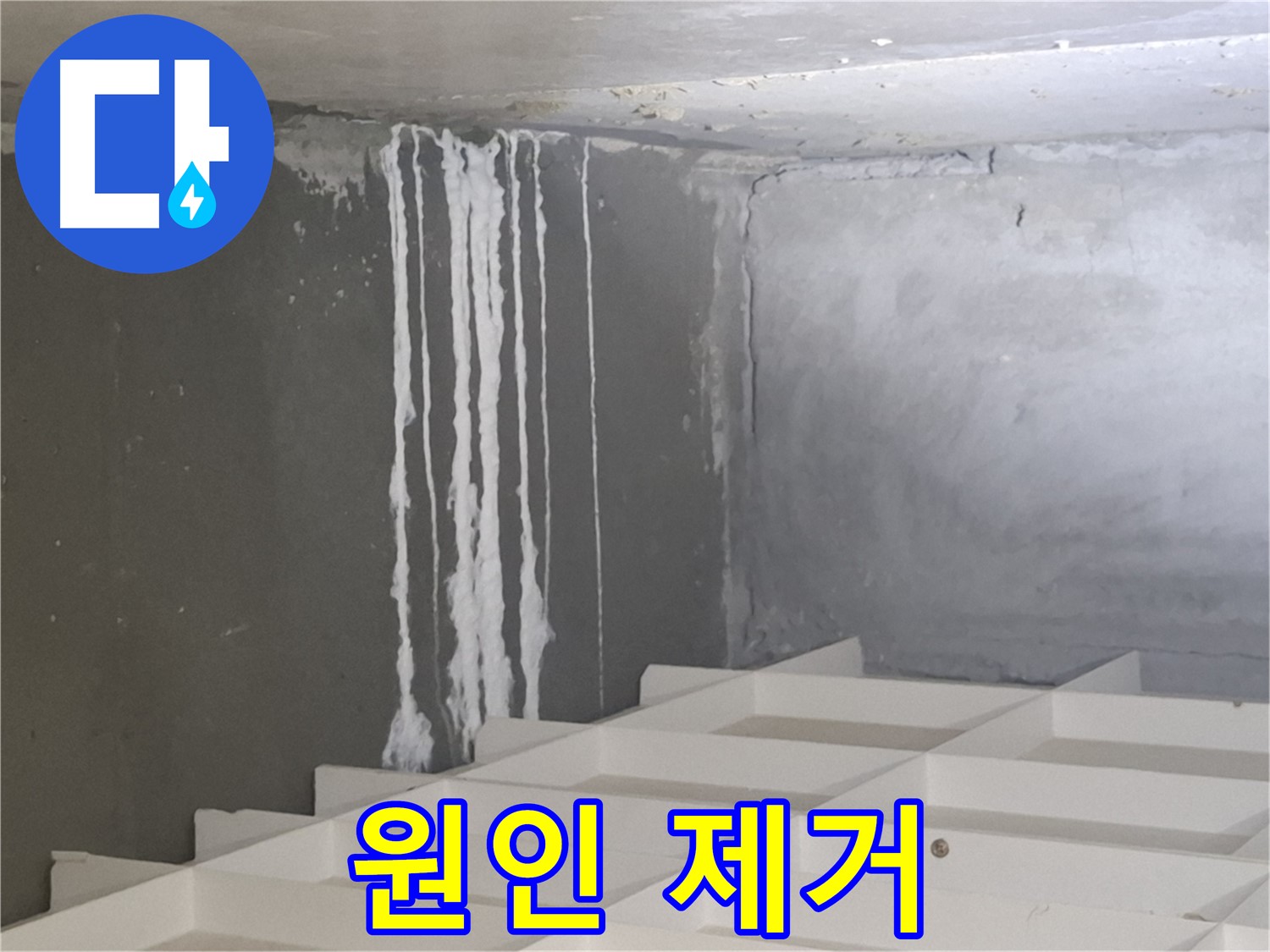 분당 누수 - 삼평동 아파트 곰팡이와 백화 현상의 확실한 원인을 제거하는 전문적인 시공