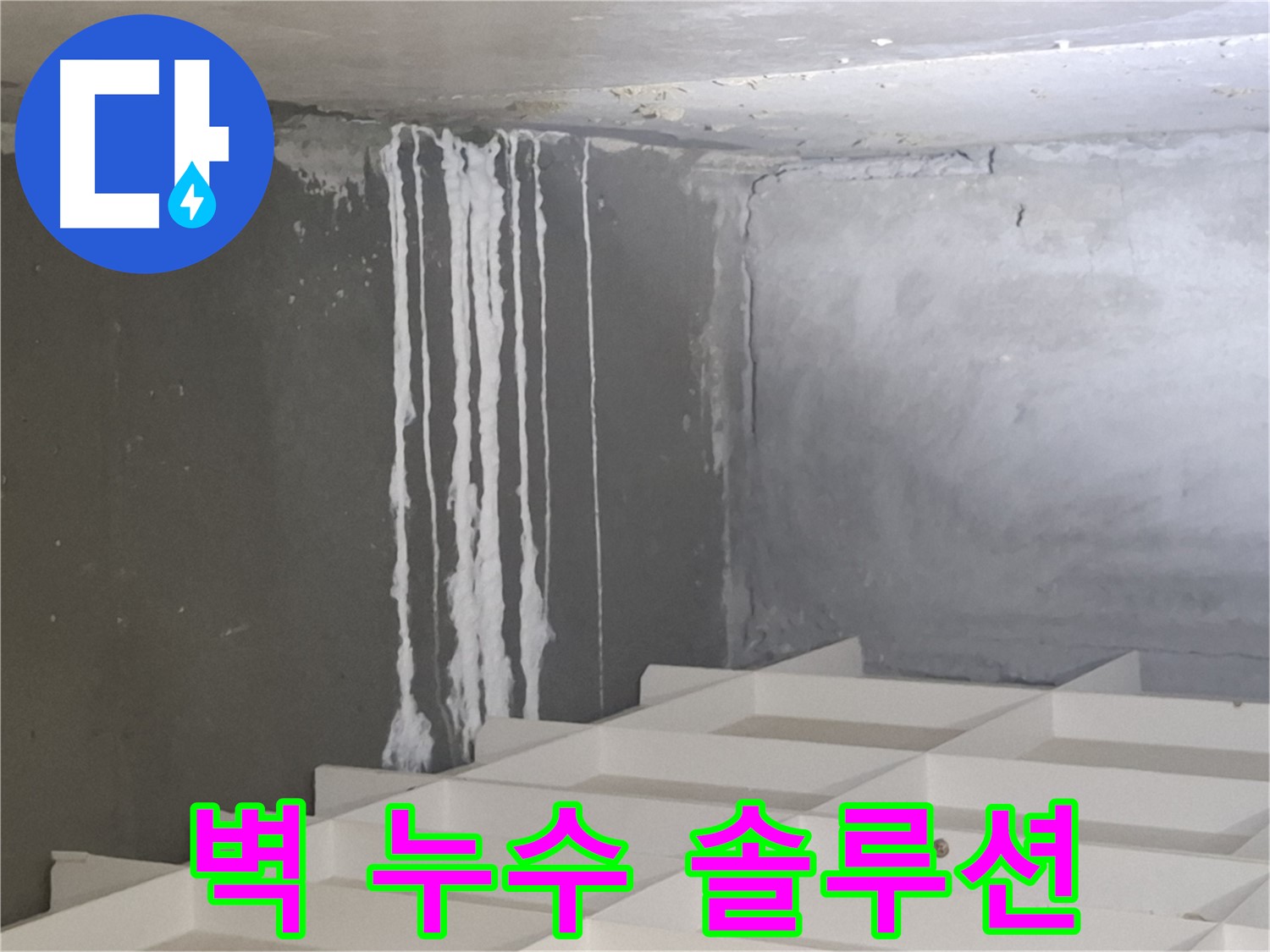 분당 누수 - 삼평동 아파트 콘크리트 벽 누수 문제, 진단부터 시공까지 원스톱 솔루션 제공