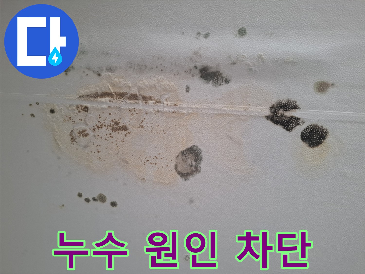 분당 봇들마을 누수 - 천장 곰팡이 제거와 누수 원인 완벽 차단