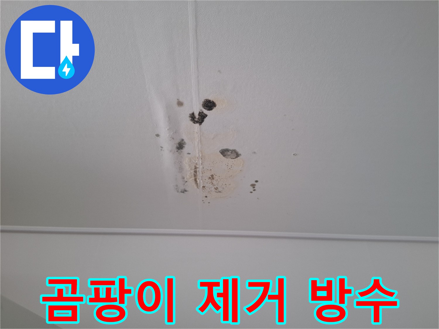분당 봇들마을 봇들마을2단지 아파트 - 곰팡이 제거 후 완벽한 방수 시공으로 재발 방지.