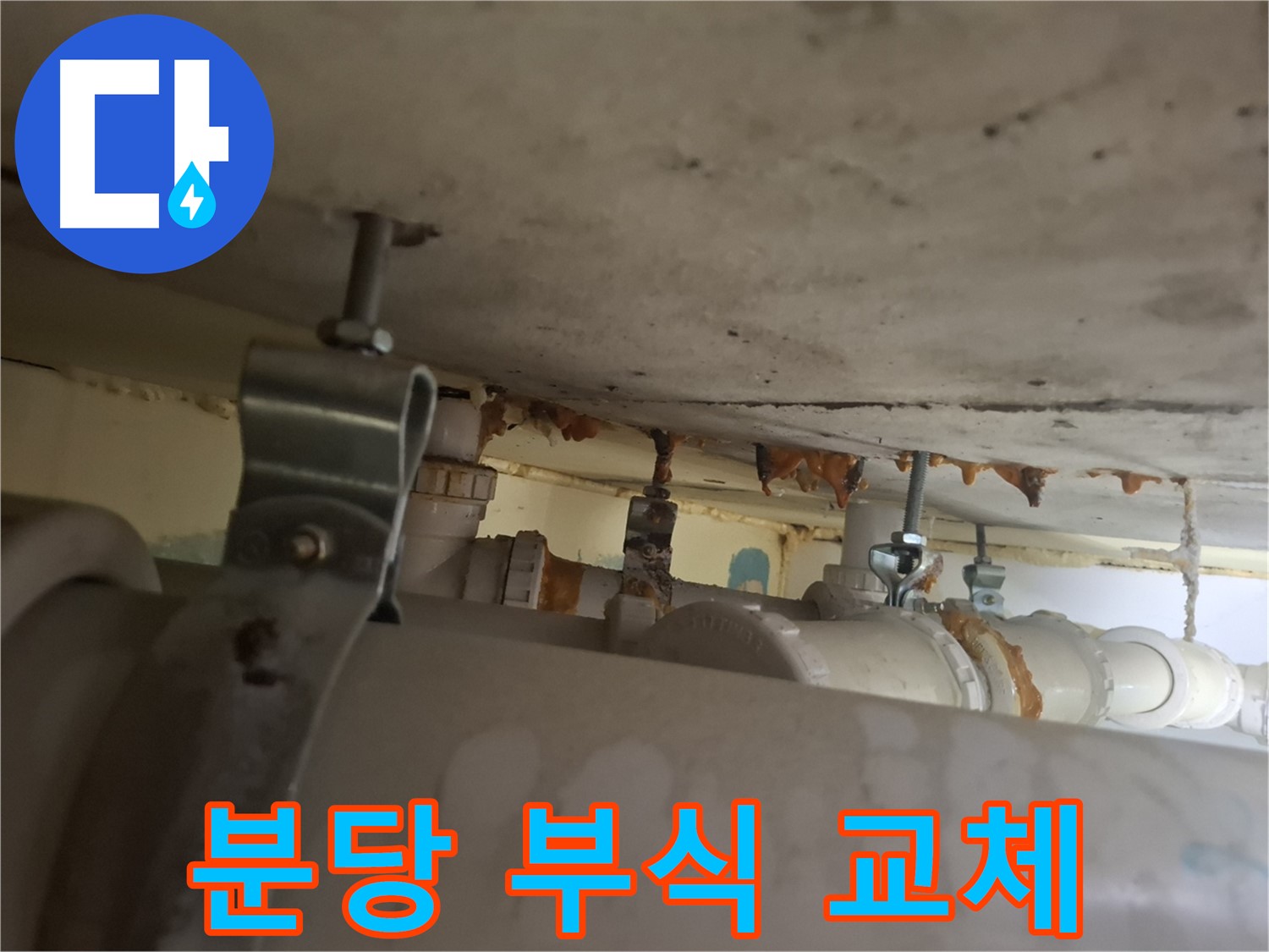 분당 봇들마을 아파트 - 배관 부식으로 인한 누수, 긴급 배관 교체 작업 진행