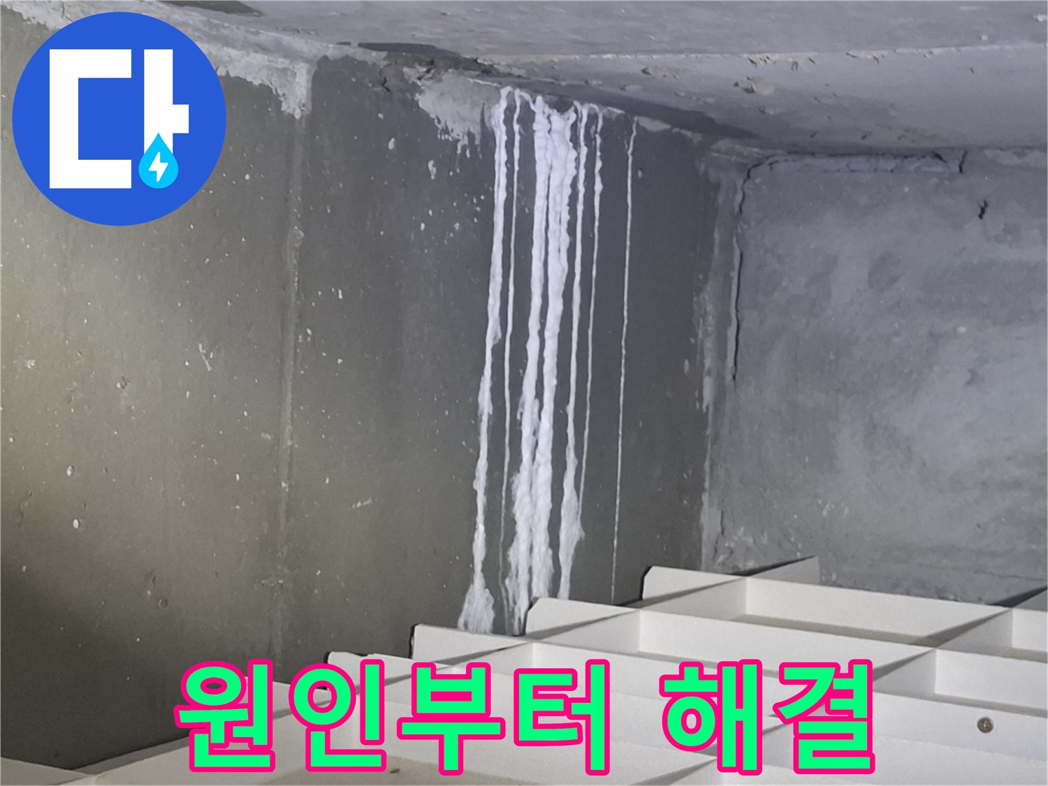 분당 봇들마을 아파트 - 지하 석회 누수, 원인부터 해결까지 책임