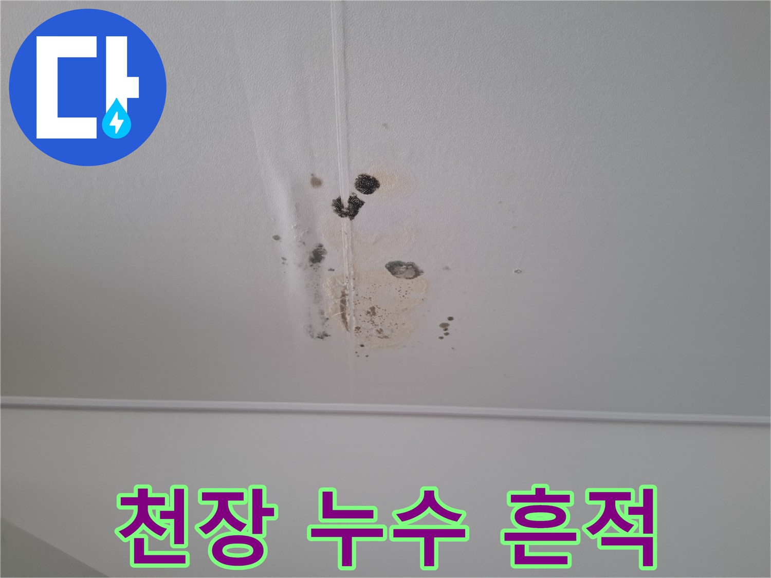 분당 봇들마을 아파트 천장에서 발생한 누수 흔적 - 곰팡이와 물 얼룩이 심각한 상태를 보여줍니다.