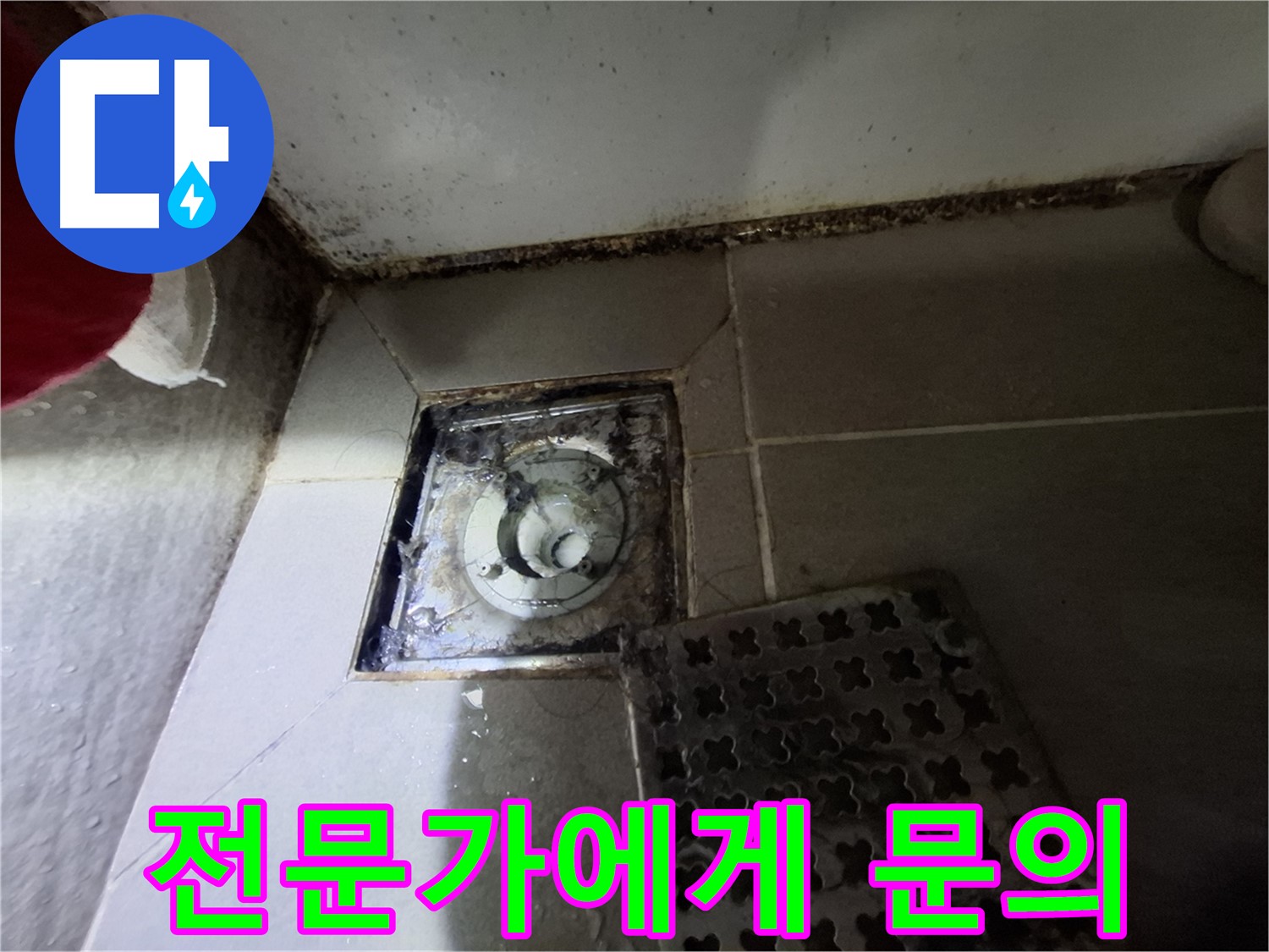 분당 봇들마을2단지 욕실 - 곰팡이, 누수 초기 증상 의심, 전문가 문의