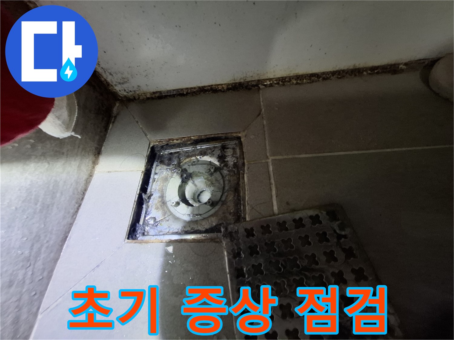 분당 봇들마을2단지 욕실 - 곰팡이는 누수 초기 증상, 서둘러 점검