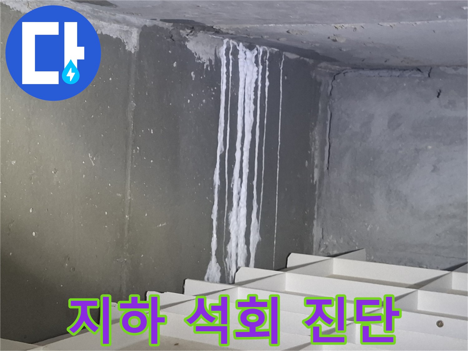 분당 삼평동 봇들마을 아파트 - 지하 석회 누수 긴급 진단