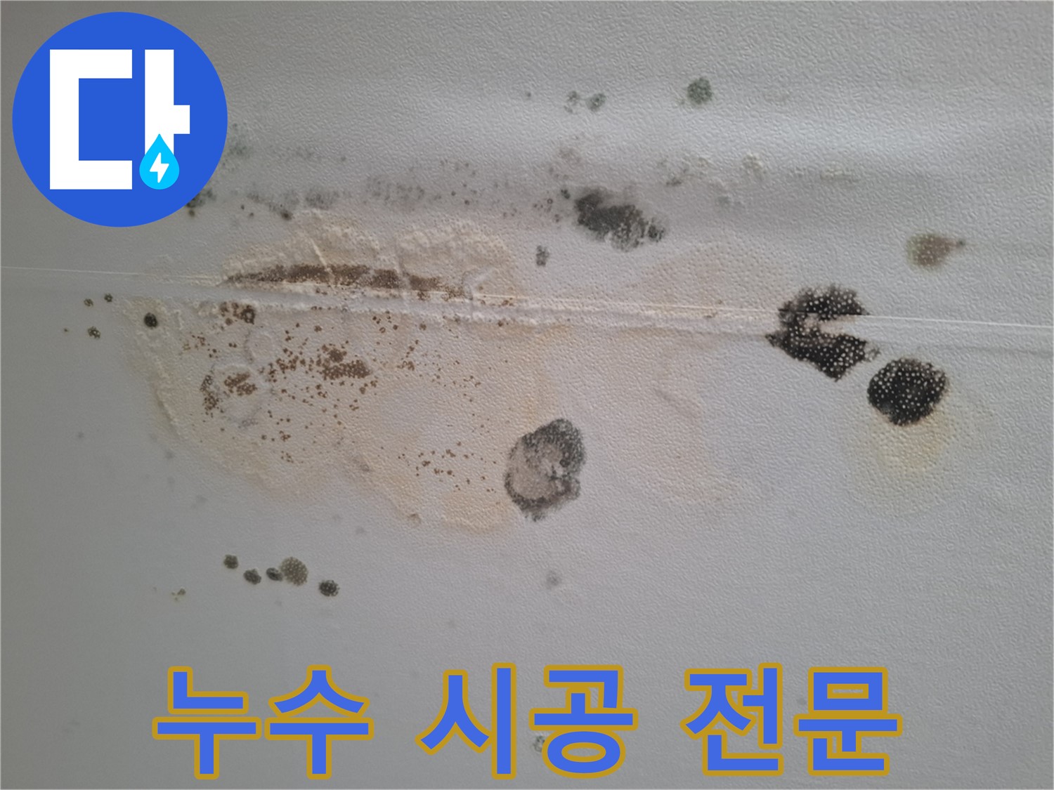 분당 삼평동 봇들마을 이지더원 누수 - 곰팡이 누수 시공 전문 업체