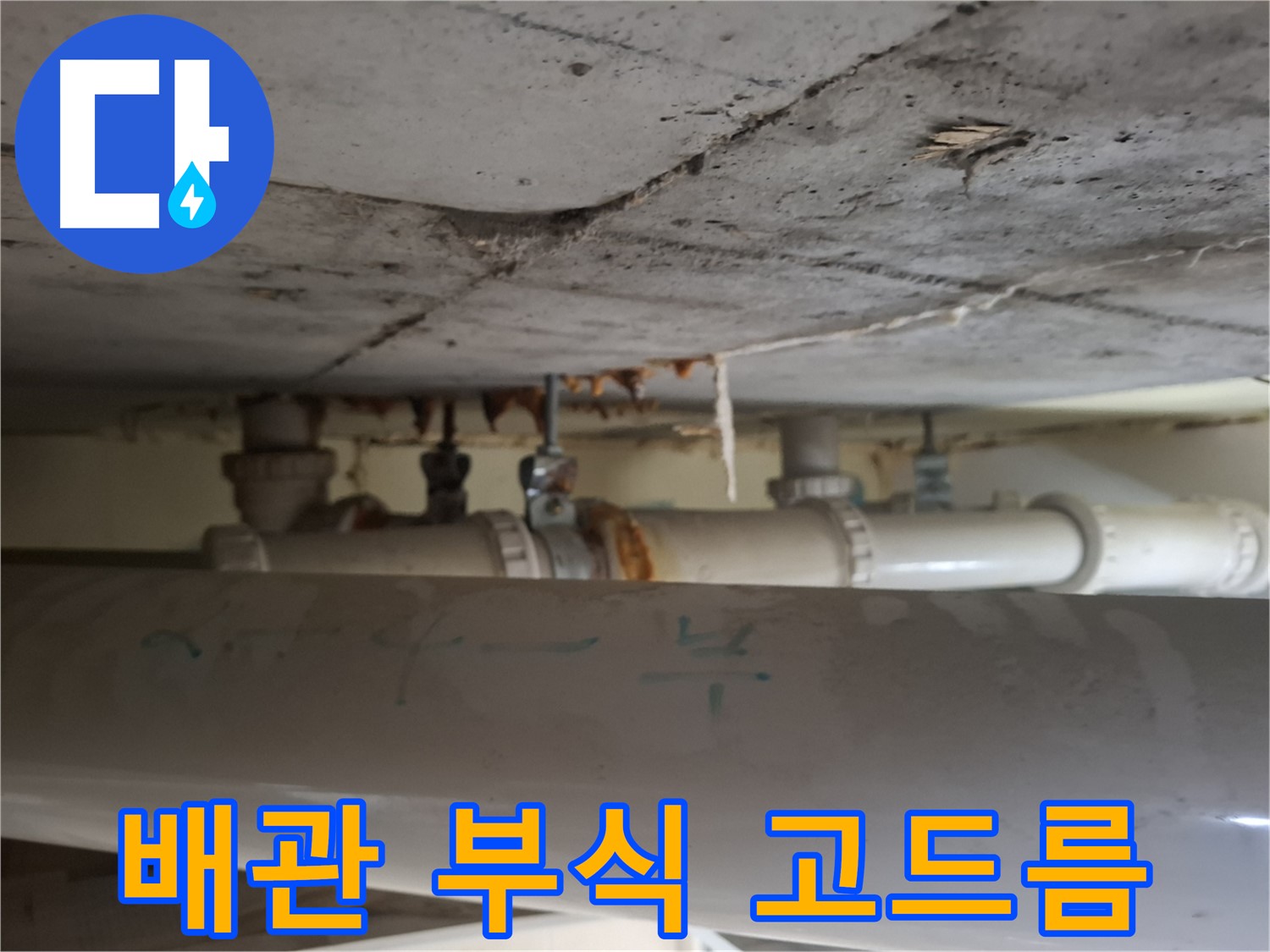 분당 삼평동 봇들마을2단지 아파트 - 천장 배관 부식 및 석회 고드름 발생