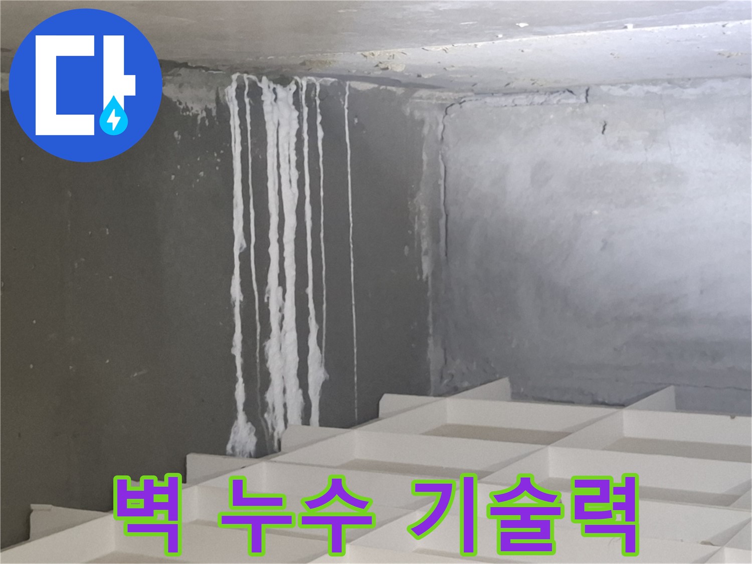 분당 삼평동 아파트 누수 - 콘크리트 벽 누수 해결, 최고의 기술력으로 완벽하게 해결합니다